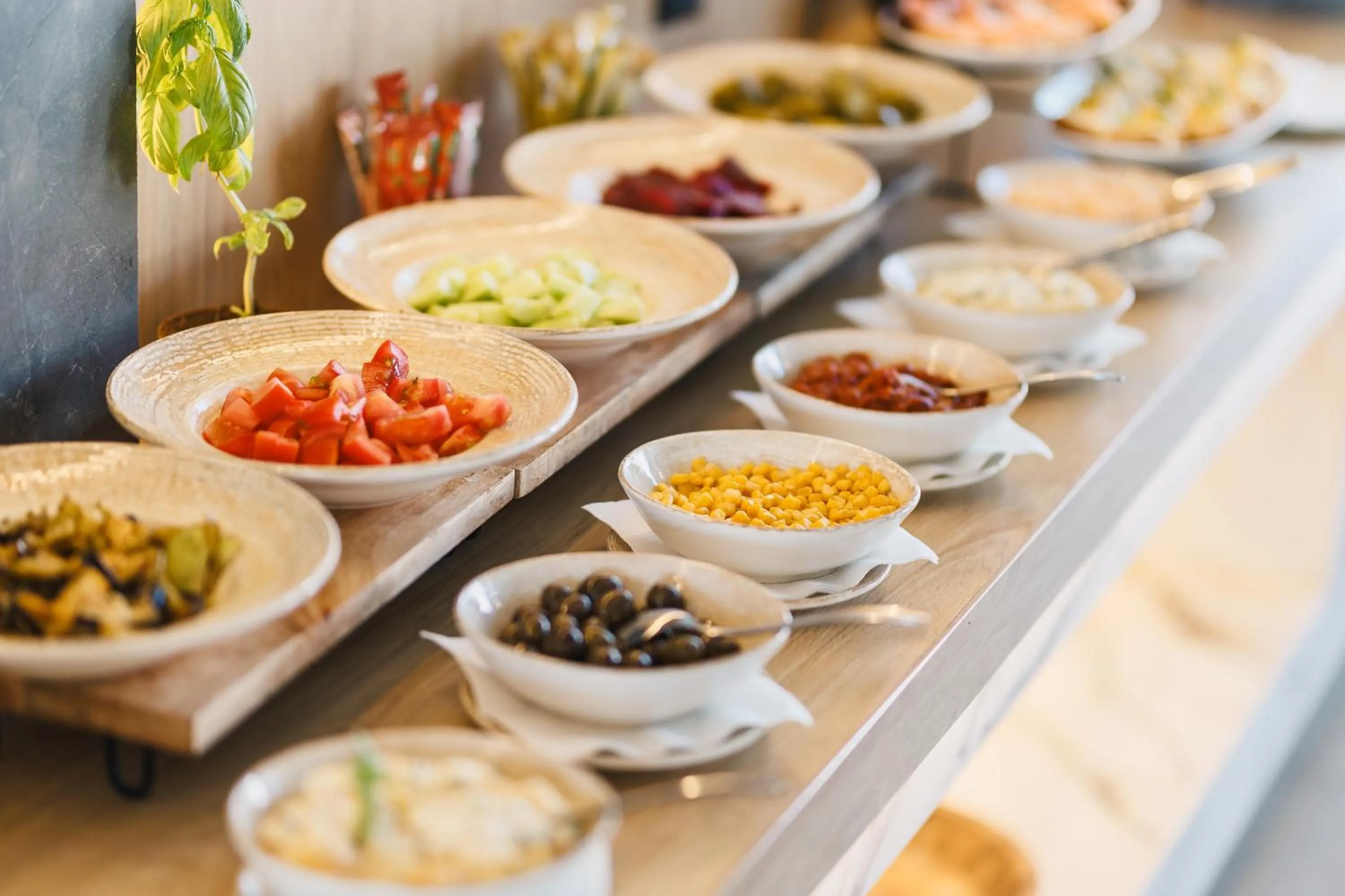 Restaurant/places to eat in Hotel Teuta