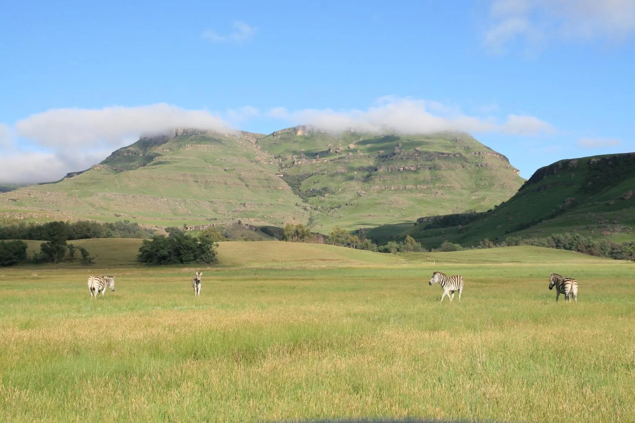 Nearby landmark in Sani Valley Nature Lodges
