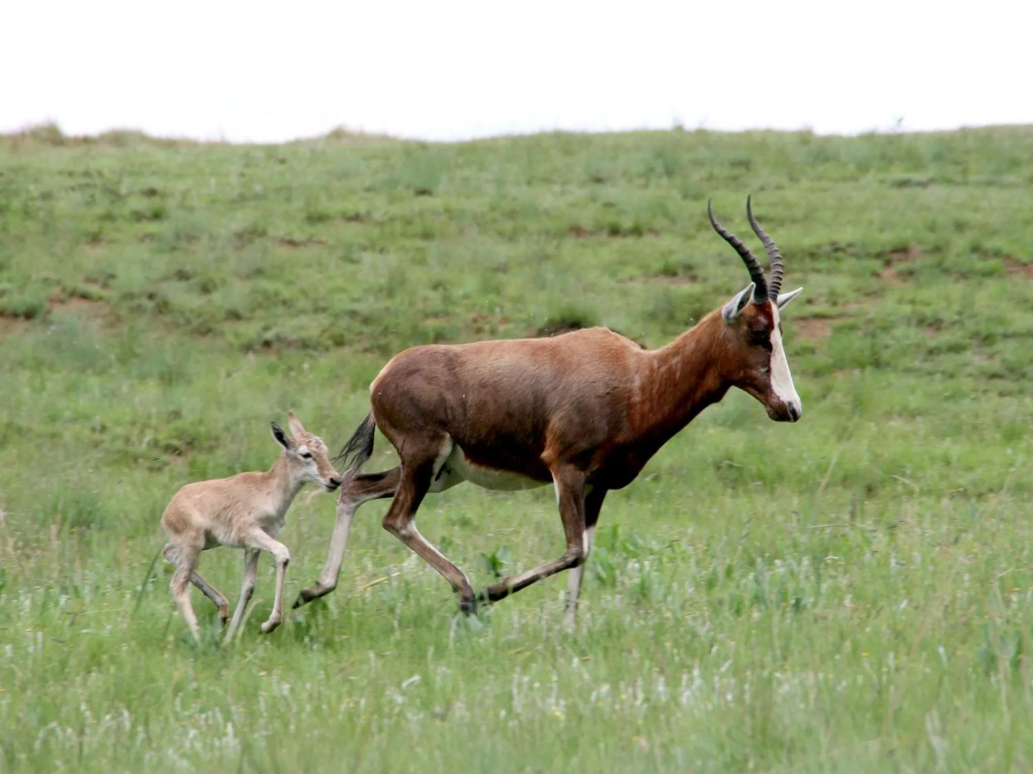 Natural landscape in Sani Valley Nature Lodges