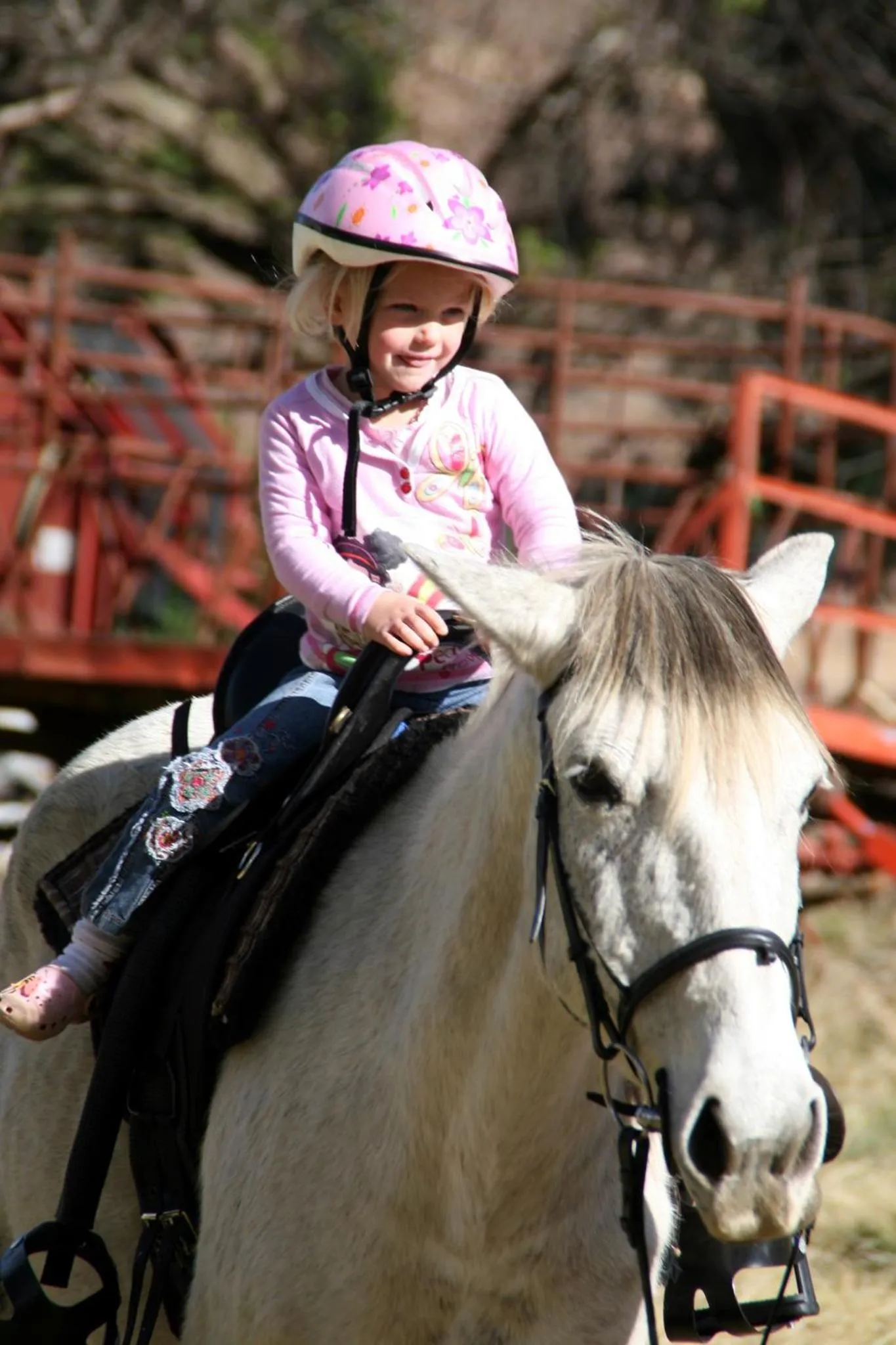 Activities in Sani Valley Nature Lodges