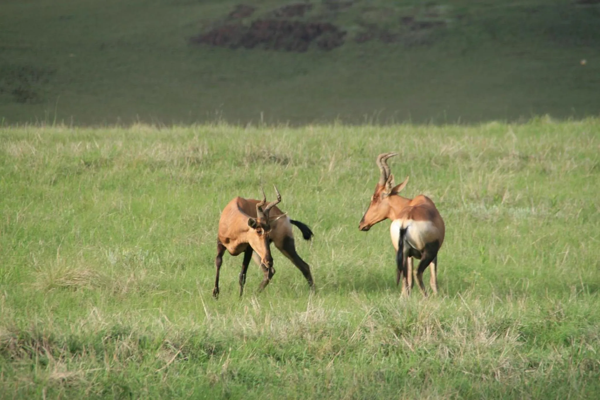 Natural landscape in Sani Valley Nature Lodges
