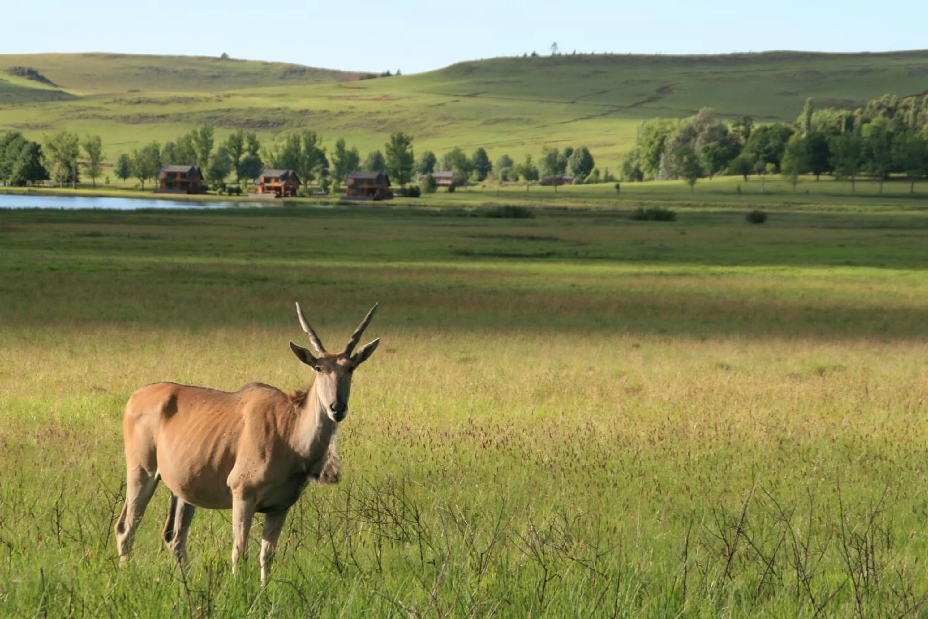 Day in Sani Valley Nature Lodges
