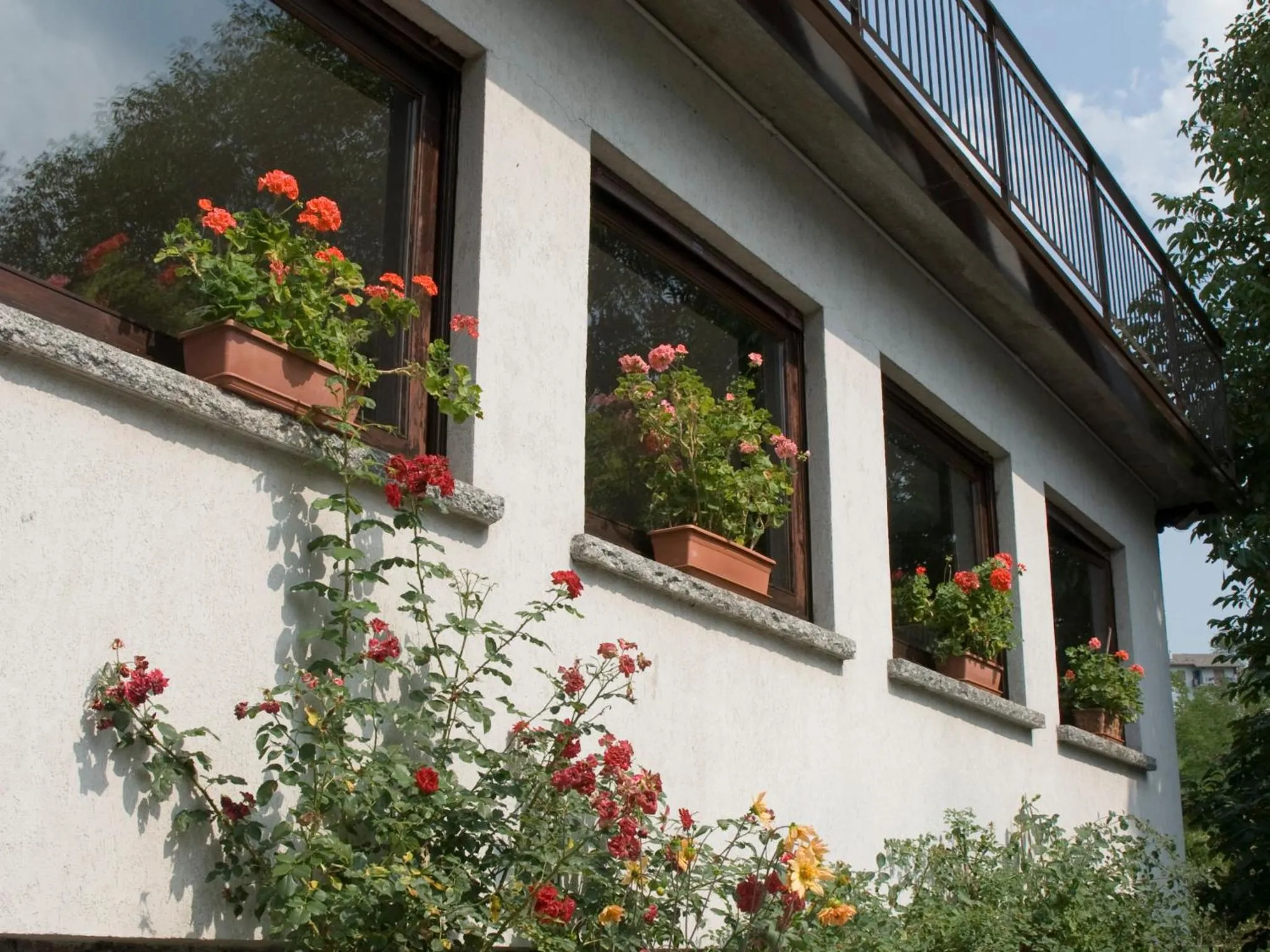 Facade/entrance in Hotel Ristorante Sassi Rossi