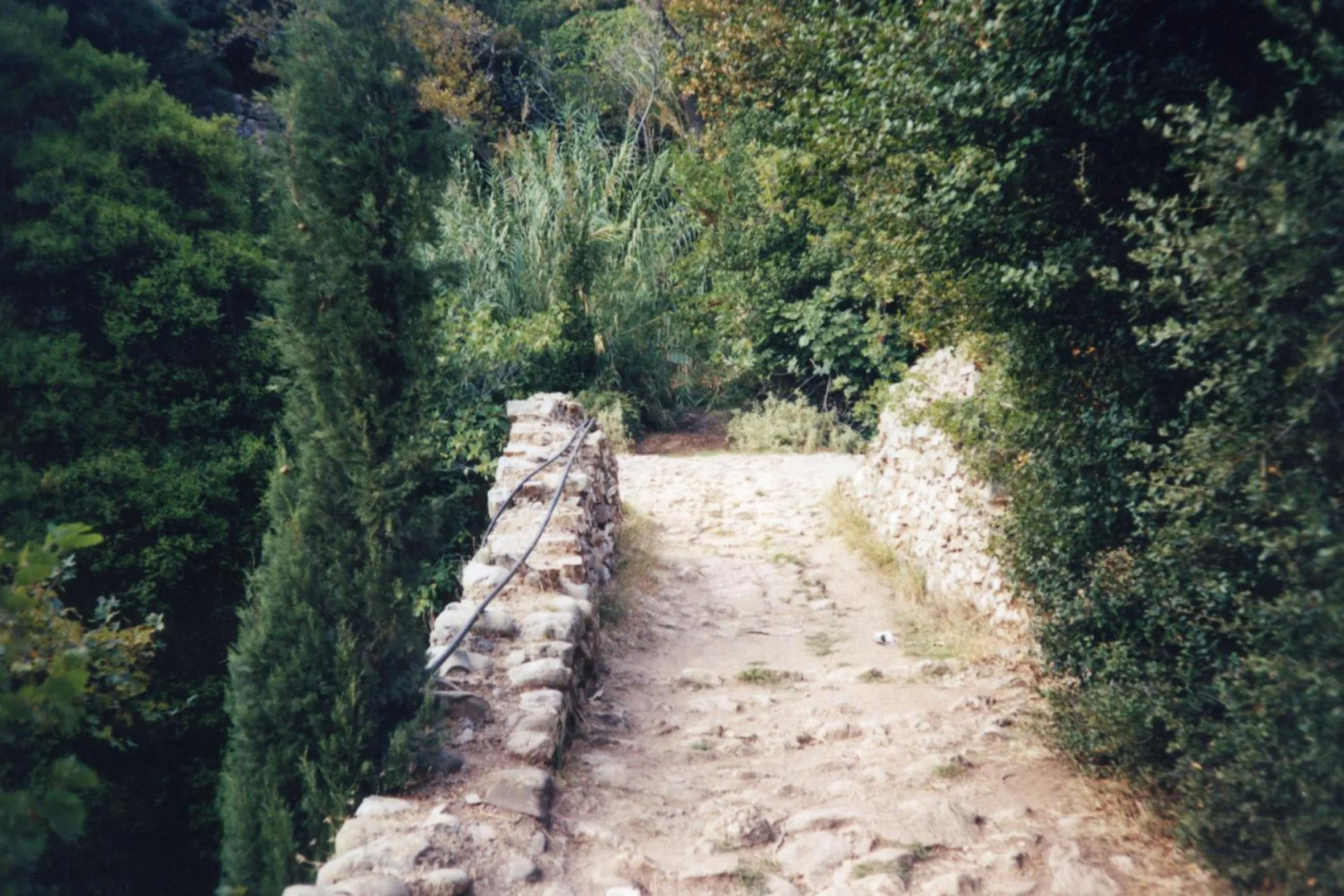 Area and facilities in Elegant Beach Hotel