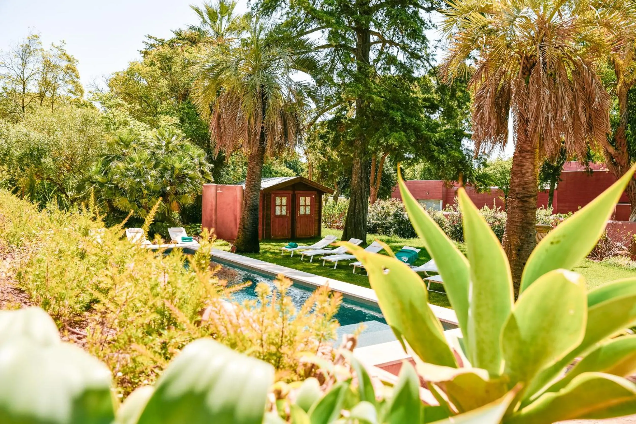Garden in Chalet Ficalho