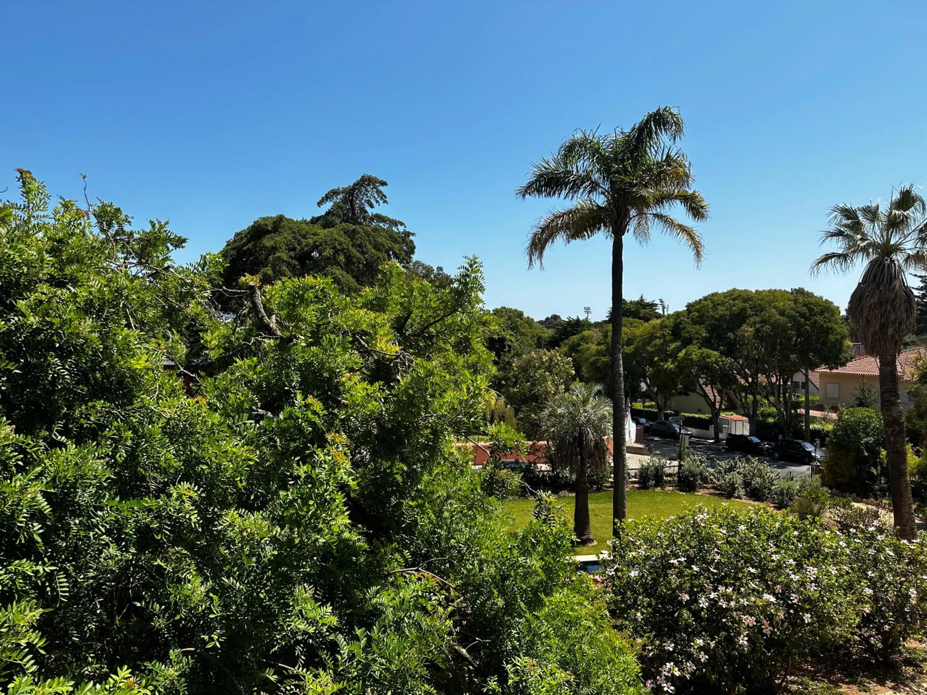 Garden view in Chalet Ficalho