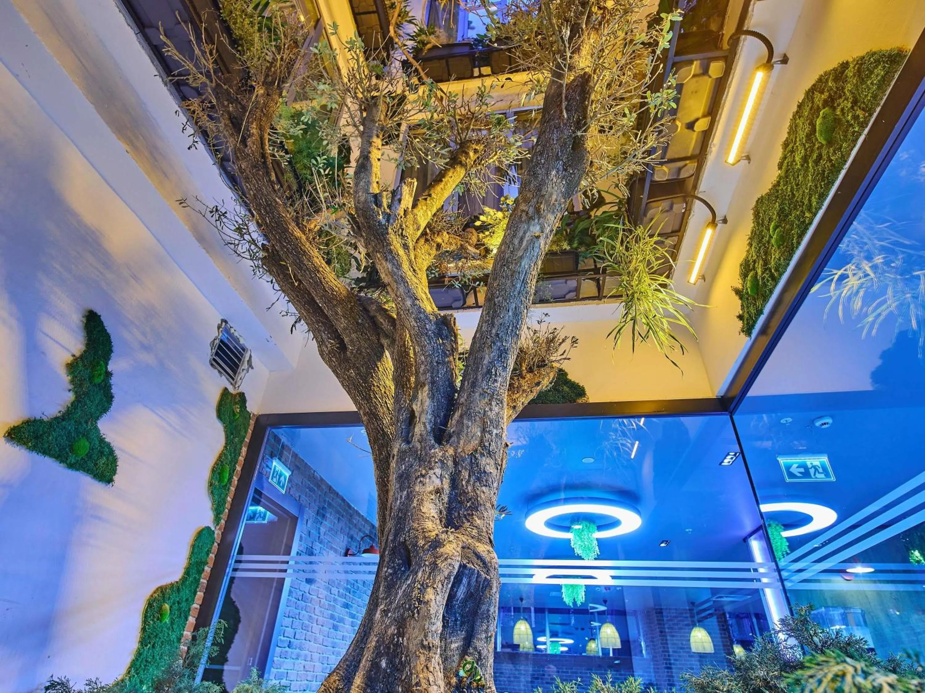 Restaurant/places to eat in Ibis Istanbul Airport