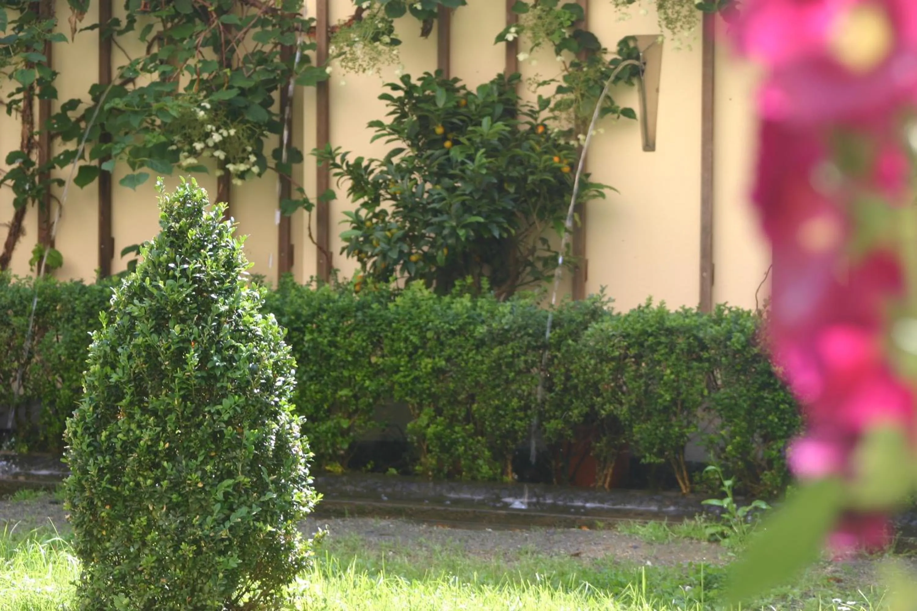 Garden in Hofgärtnerhaus