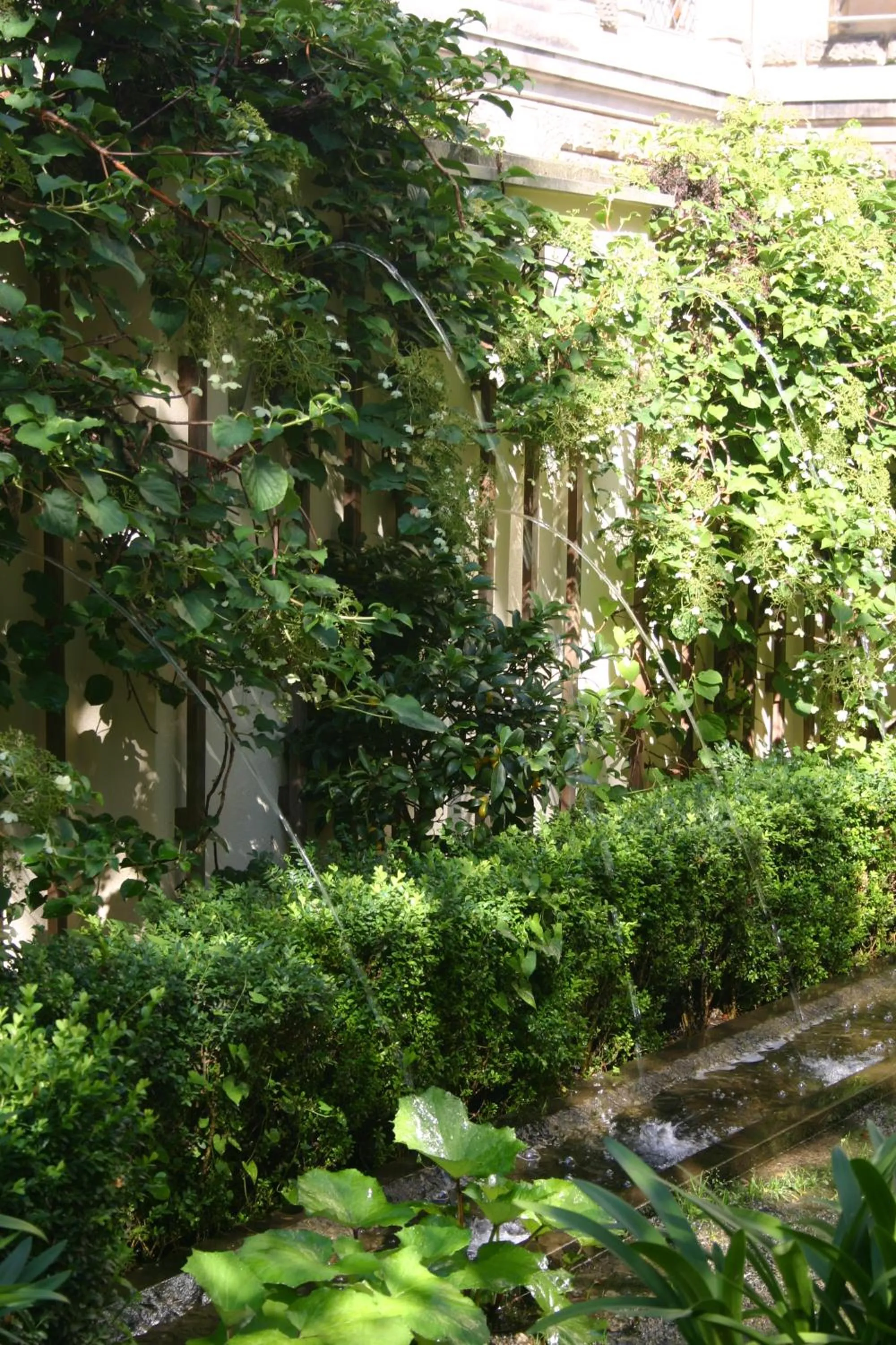 Garden in Hofgärtnerhaus