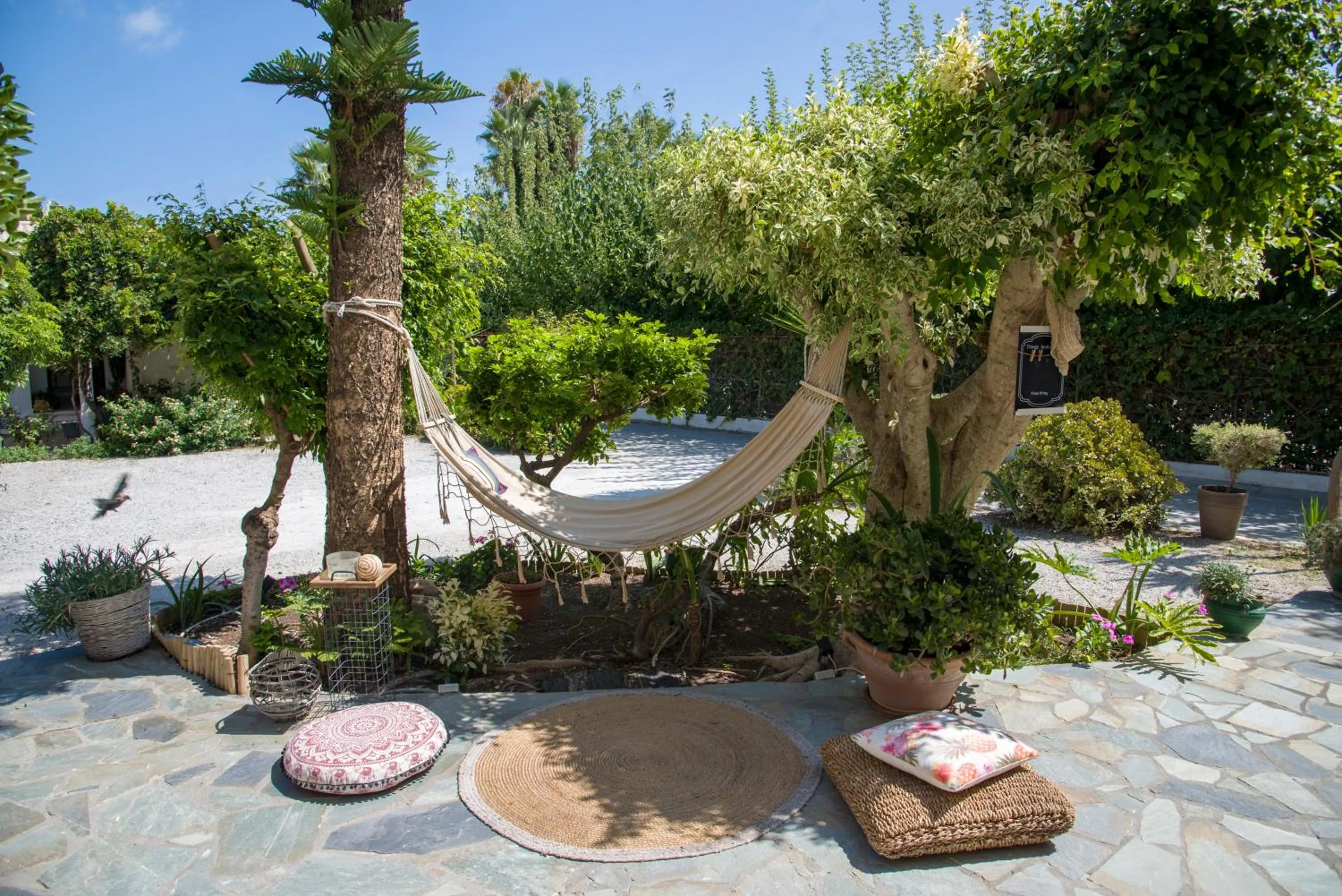 Patio in Evangelos Apartments