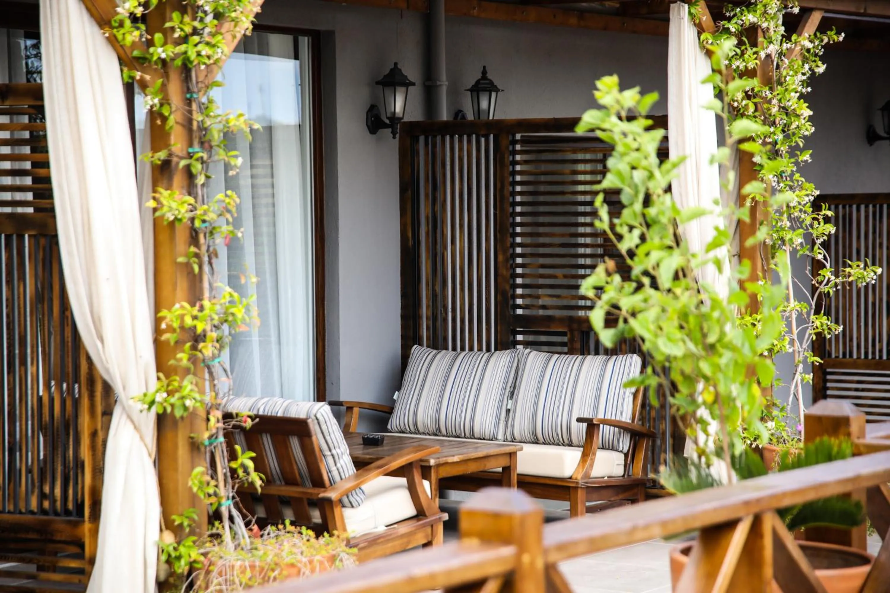 Balcony/Terrace in MAVİ AT HOTEL Blue Horse