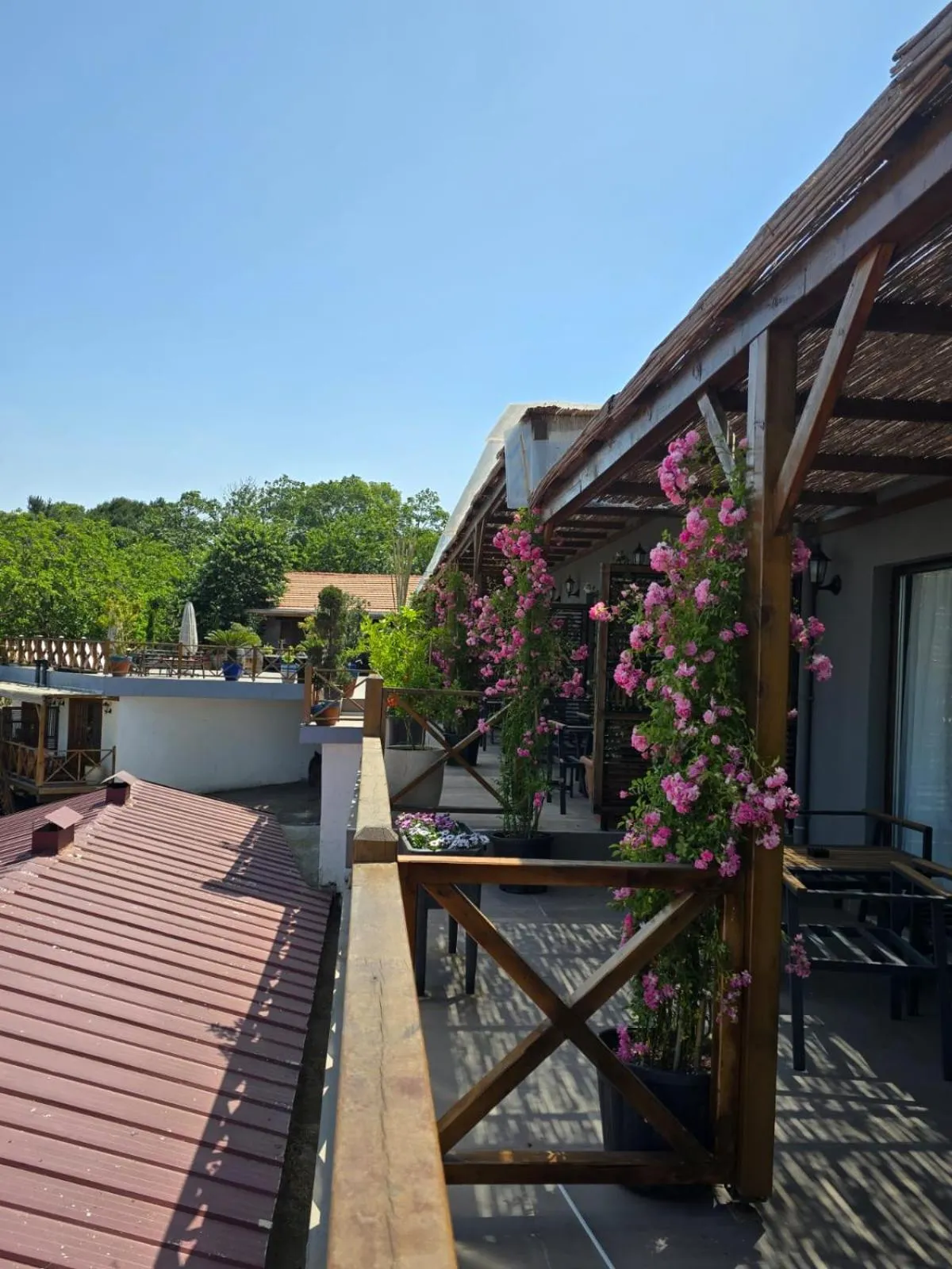 Balcony/Terrace in MAVİ AT HOTEL Blue Horse
