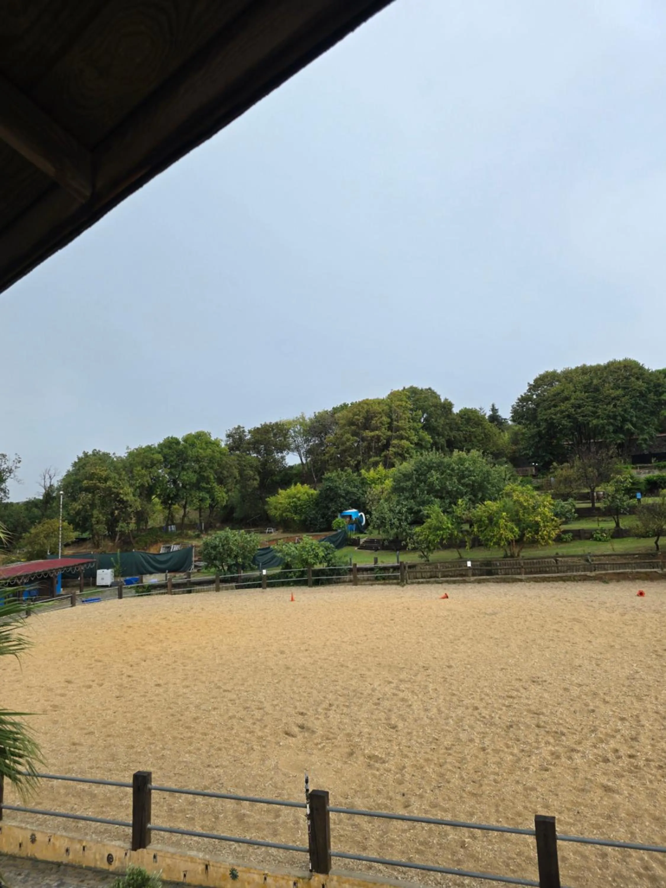 Property building in MAVİ AT HOTEL Blue Horse