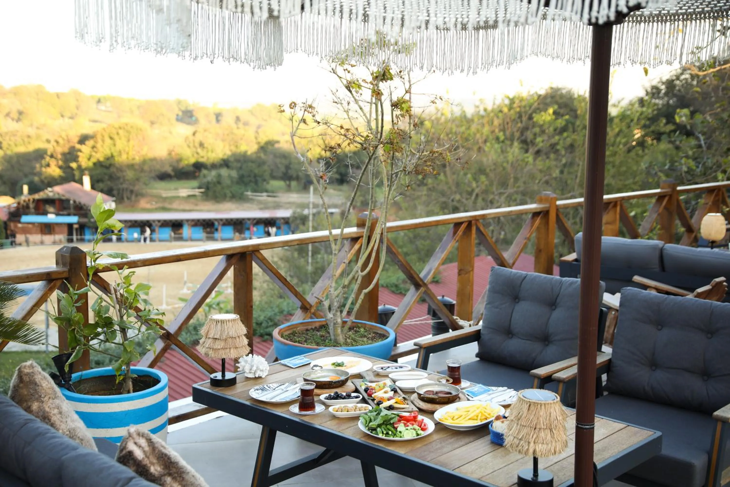 Restaurant/places to eat in MAVİ AT HOTEL Blue Horse