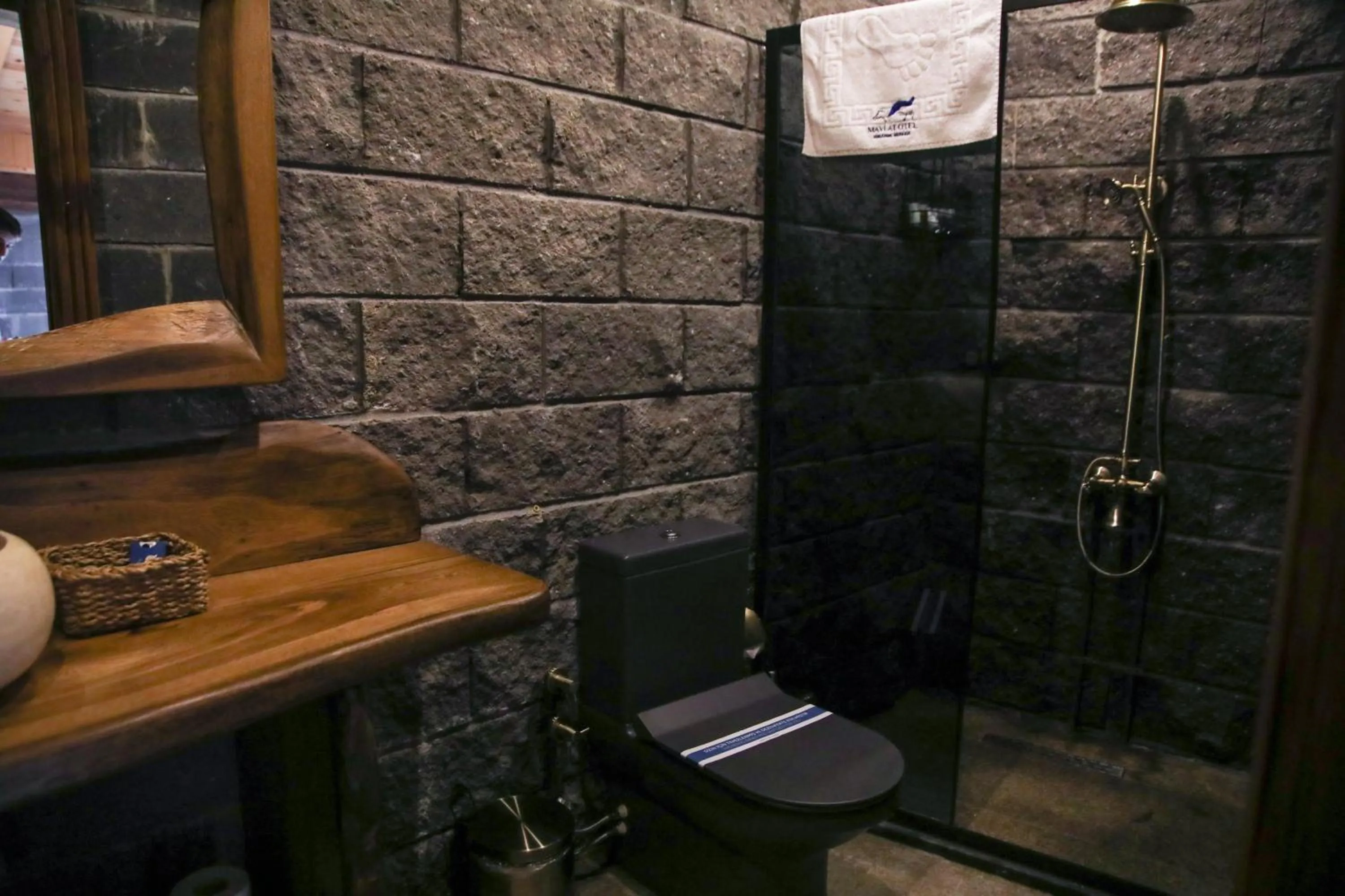 Shower in MAVİ AT HOTEL Blue Horse