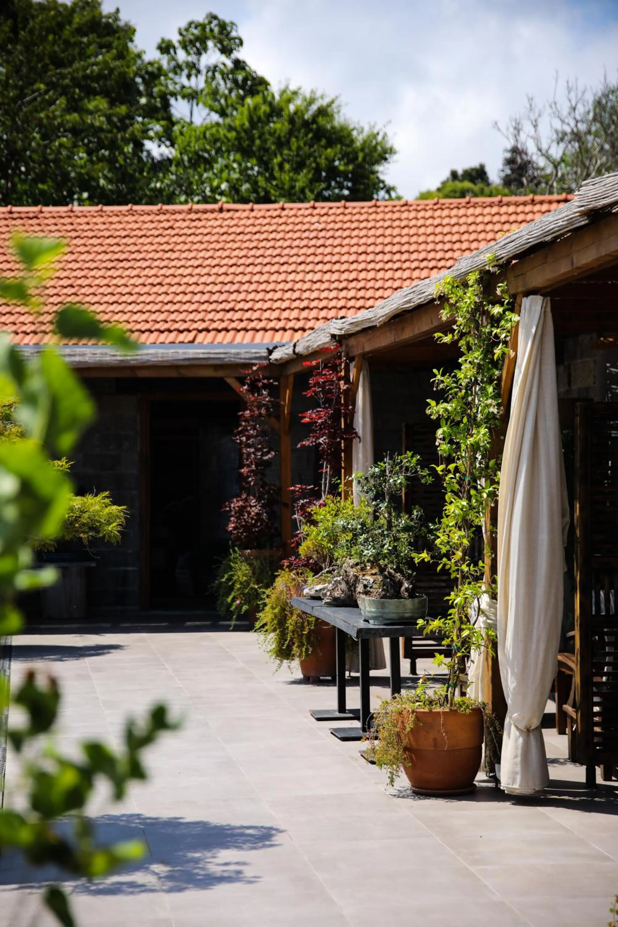 Balcony/Terrace in MAVİ AT HOTEL Blue Horse