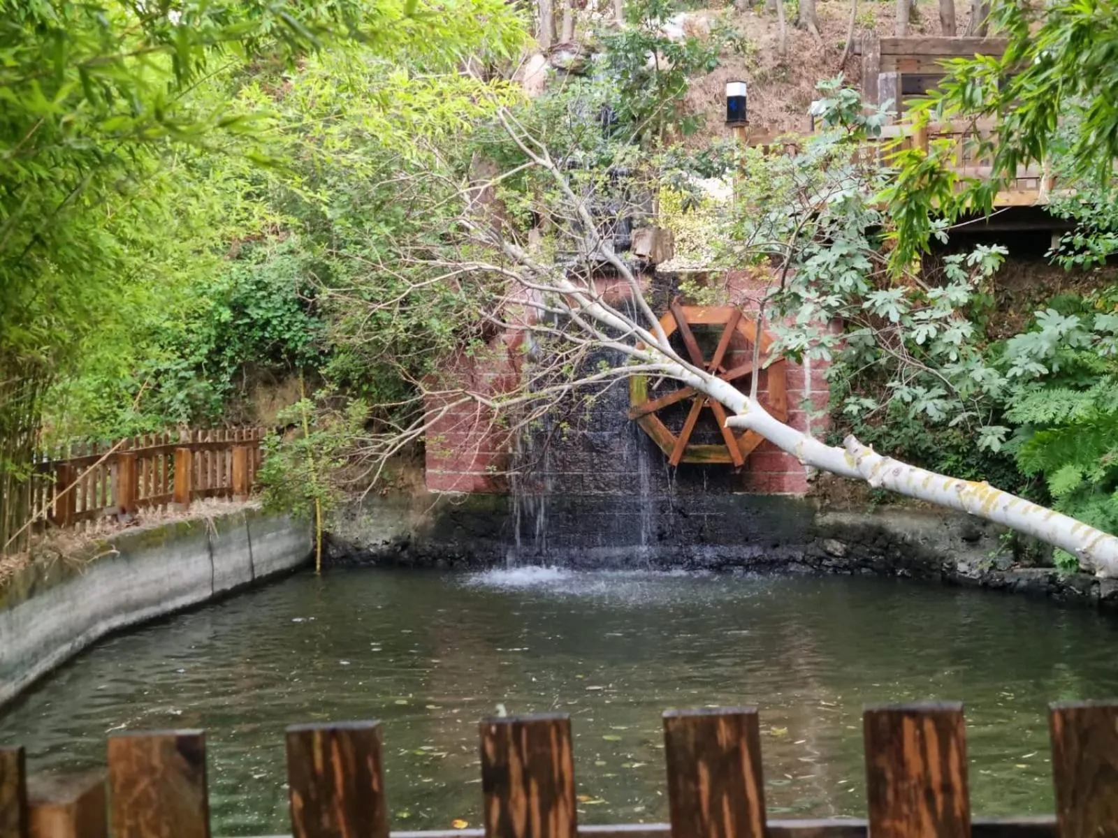 Garden in MAVİ AT HOTEL Blue Horse