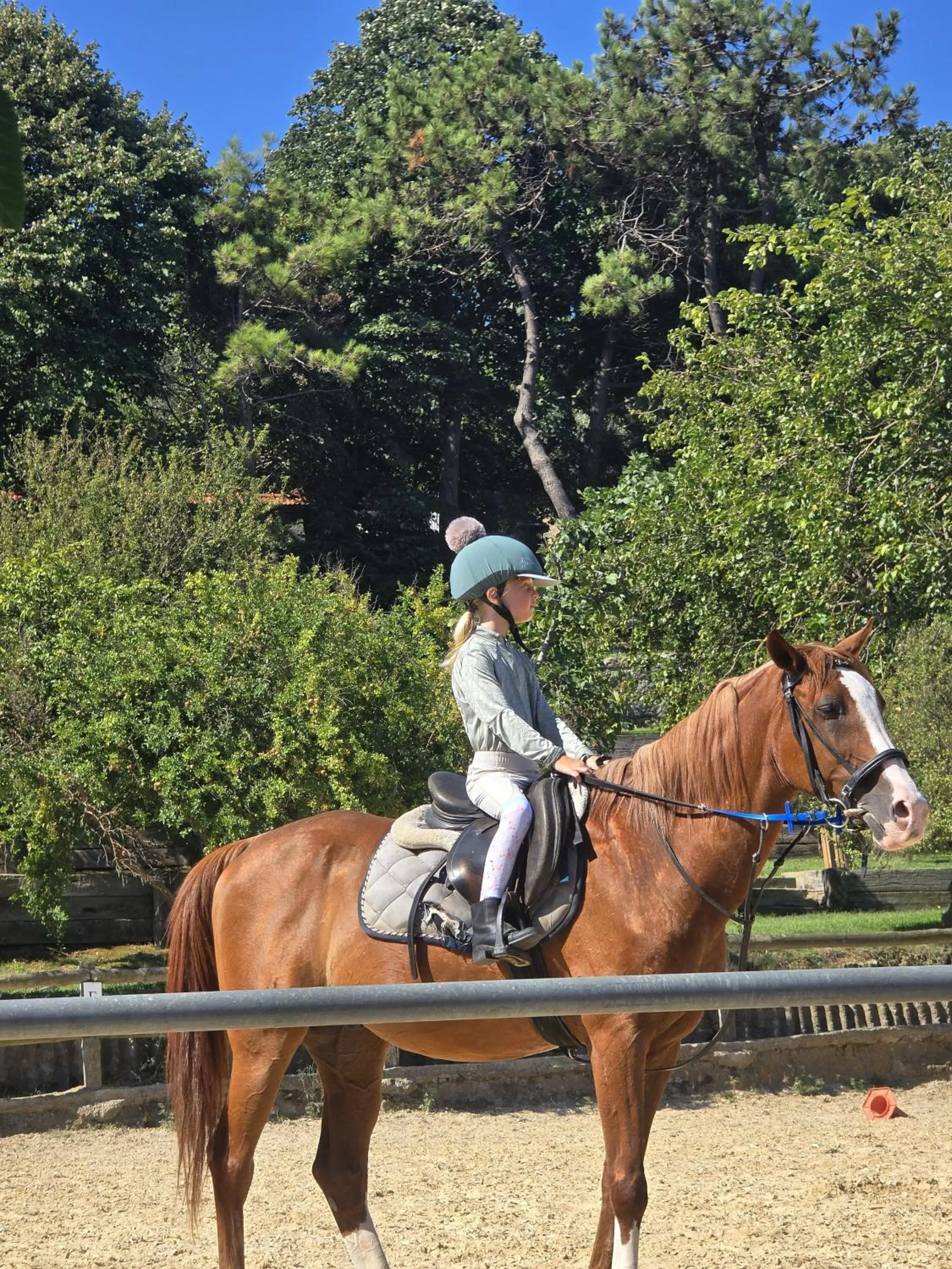 People in MAVİ AT HOTEL Blue Horse