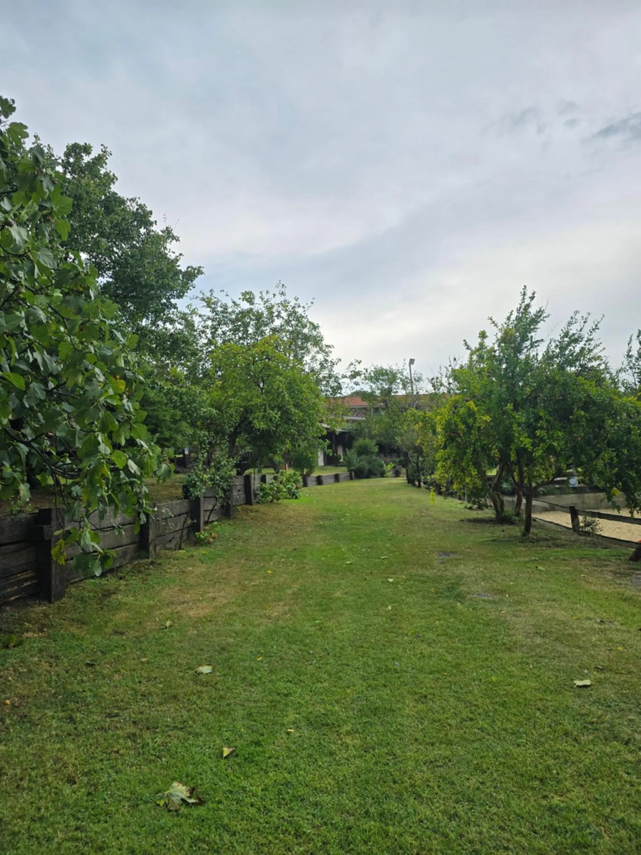 Garden in MAVİ AT HOTEL Blue Horse
