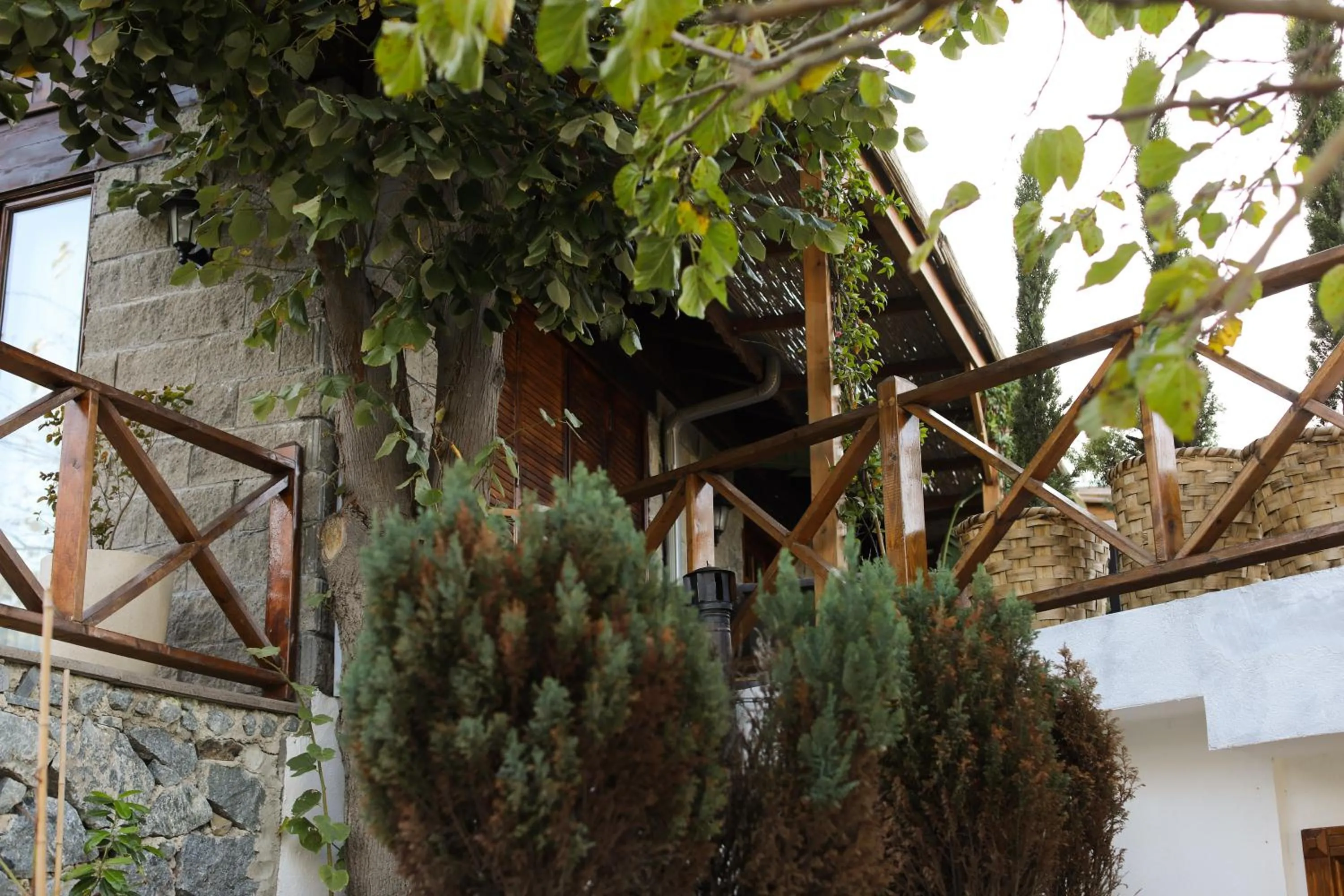Garden in MAVİ AT HOTEL Blue Horse