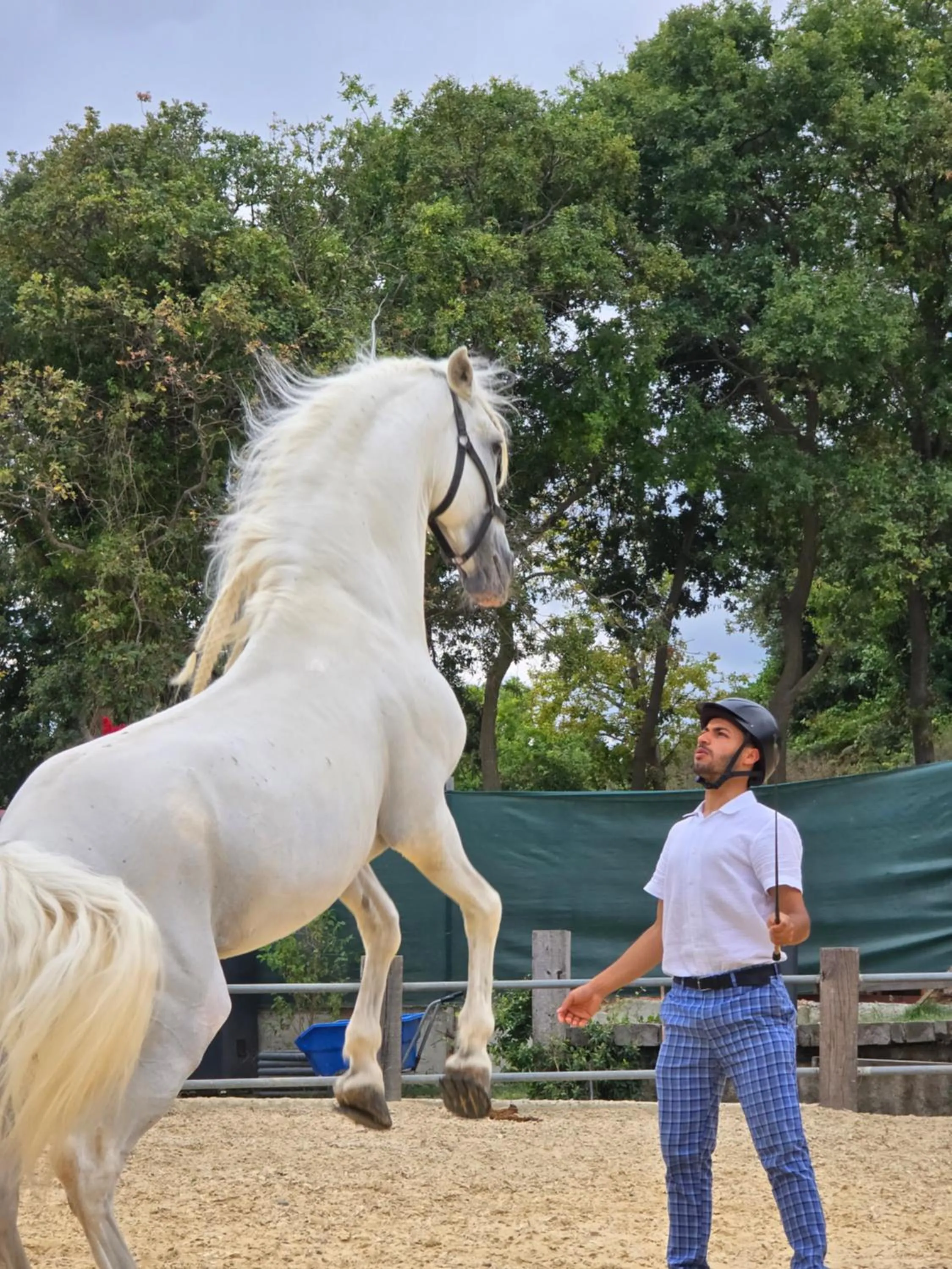 People in MAVİ AT HOTEL Blue Horse