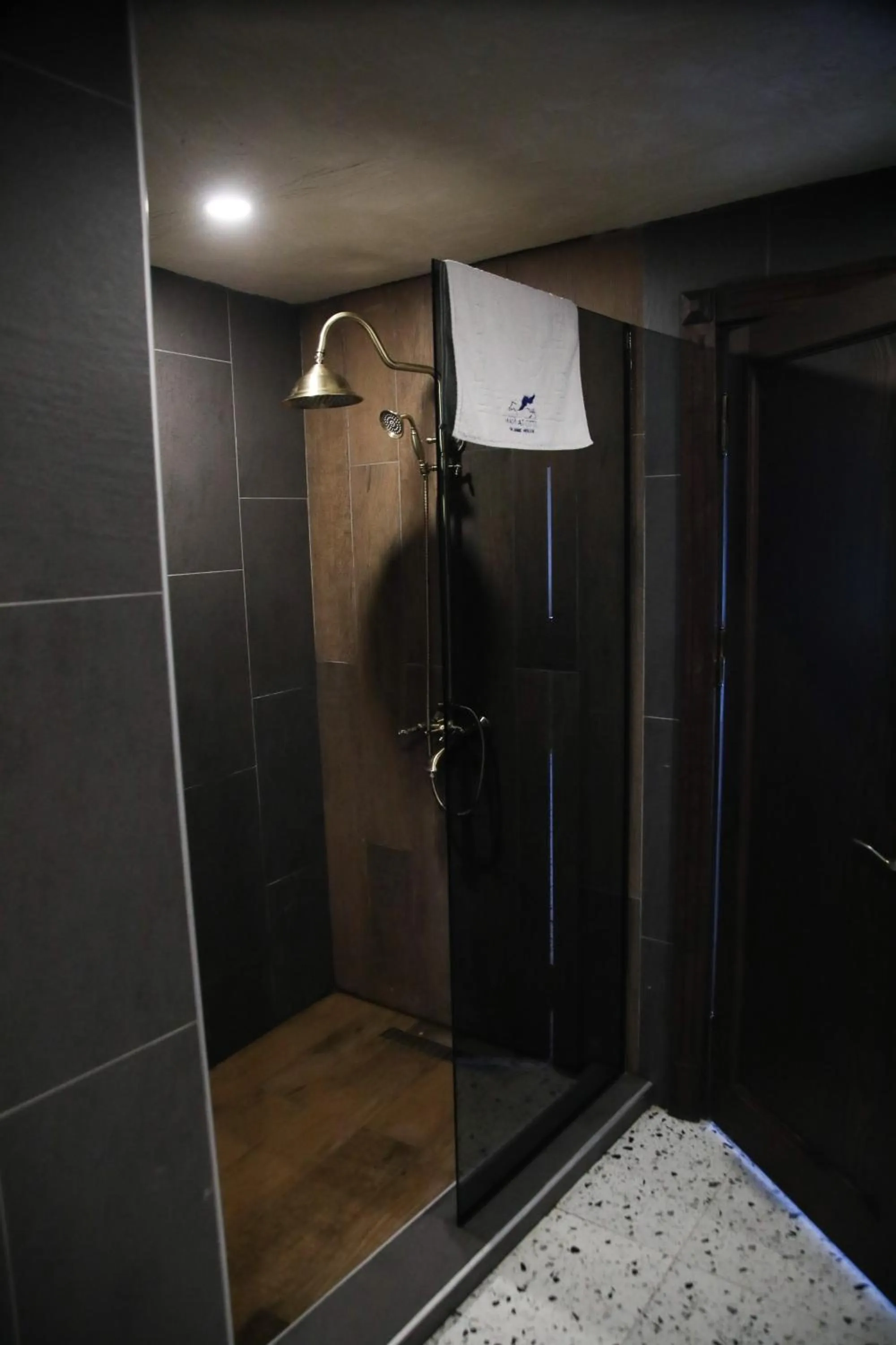 Shower in MAVİ AT HOTEL Blue Horse