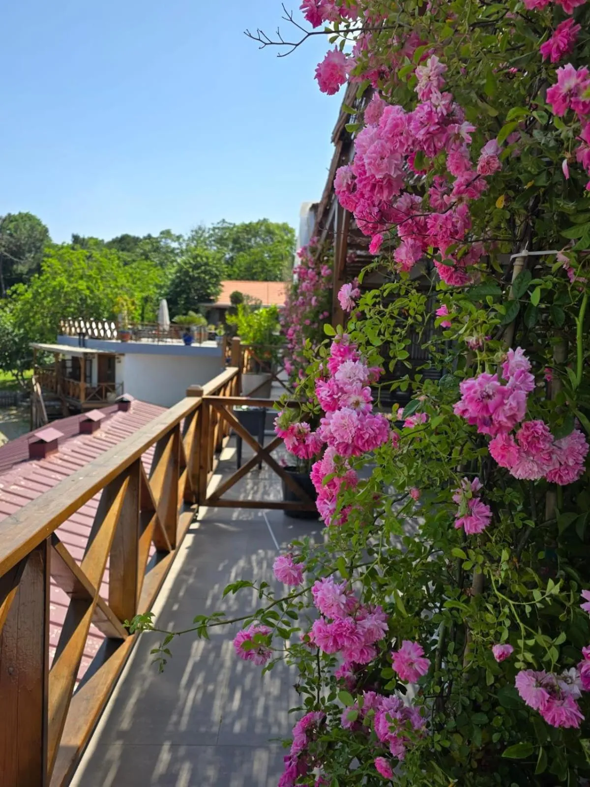 Garden in MAVİ AT HOTEL Blue Horse