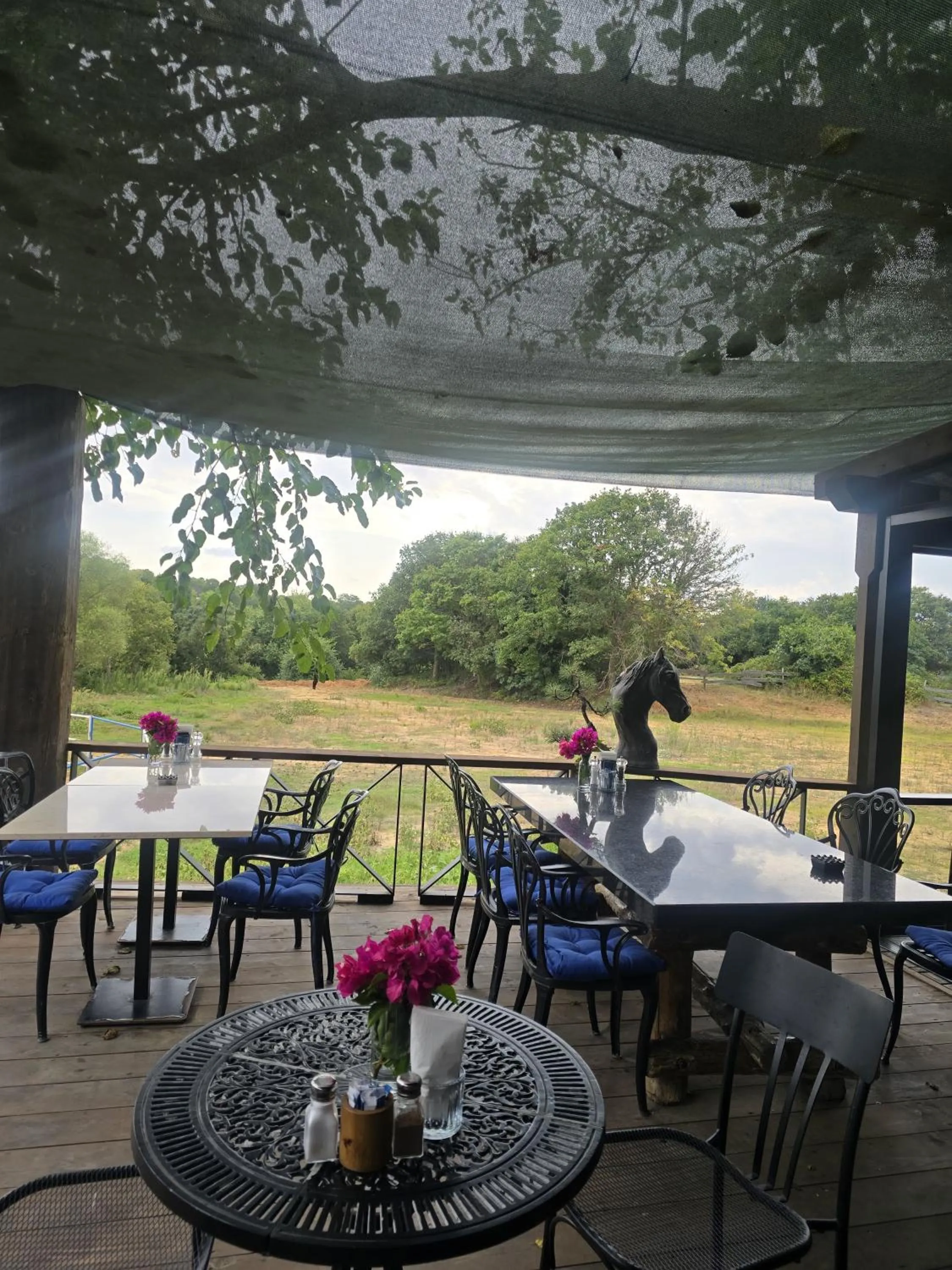 Restaurant/places to eat in MAVİ AT HOTEL Blue Horse