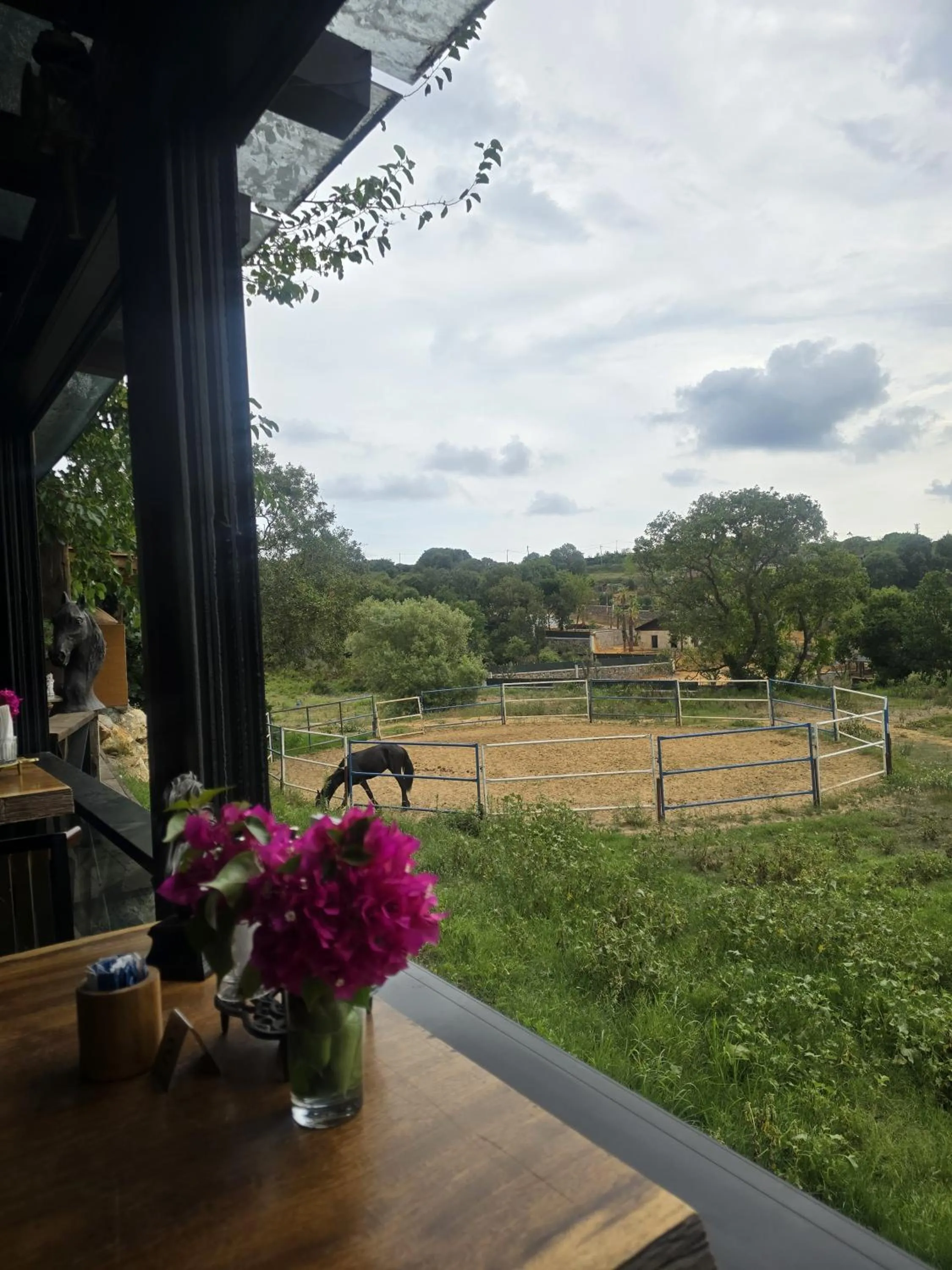 Restaurant/places to eat in MAVİ AT HOTEL Blue Horse