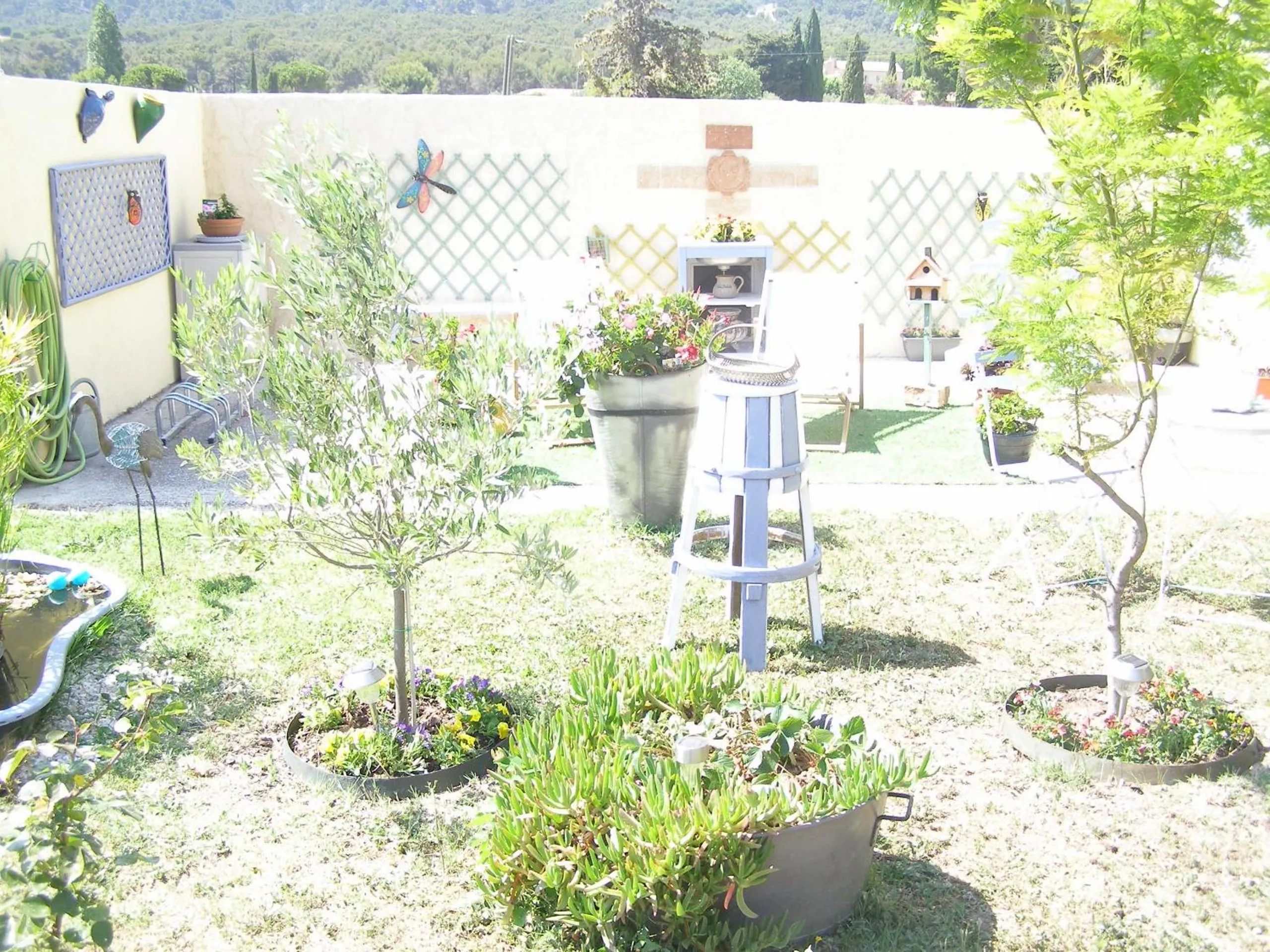 Garden in B&B Le Clos des Cigales