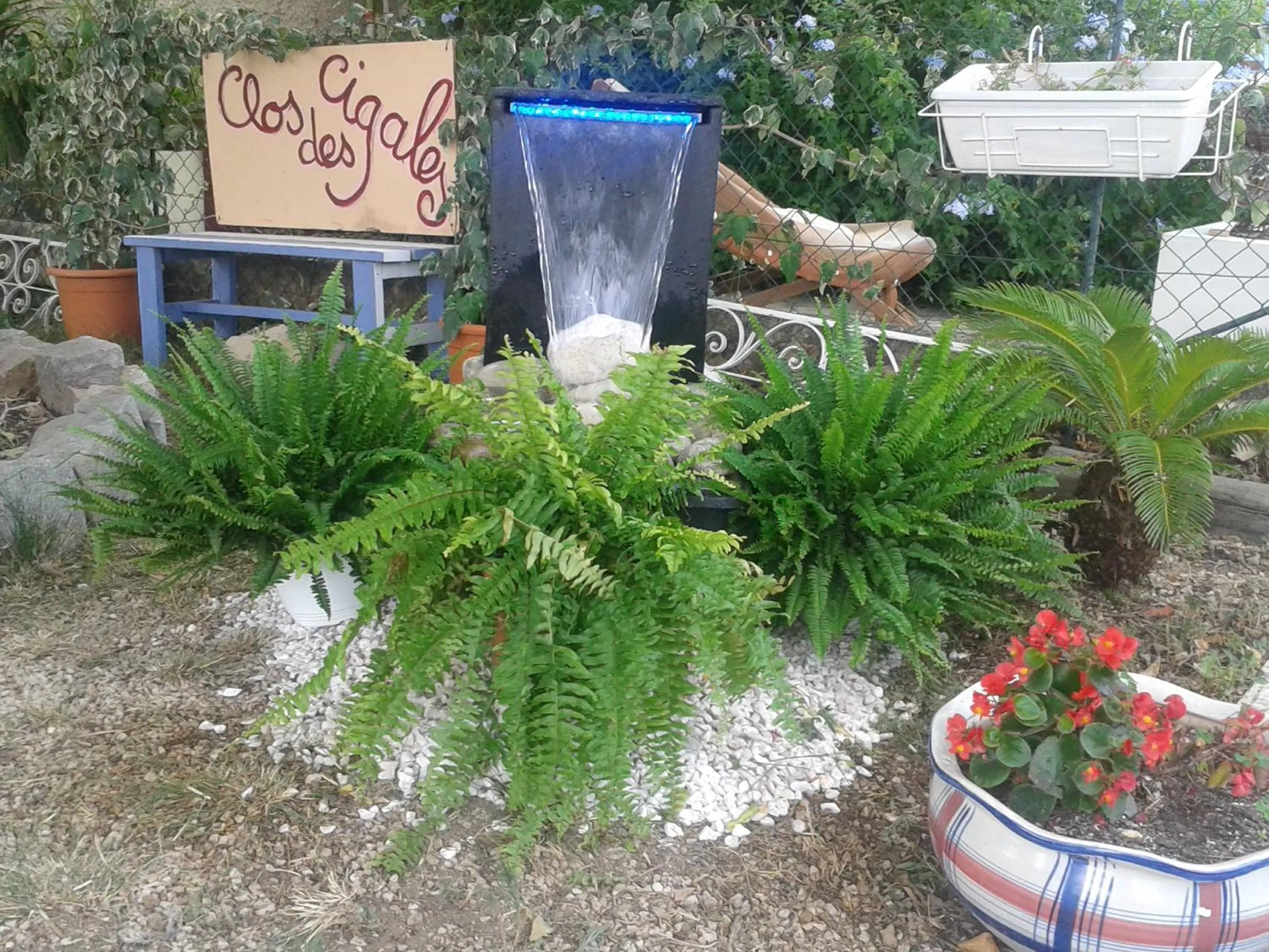 Garden in B&B Le Clos des Cigales