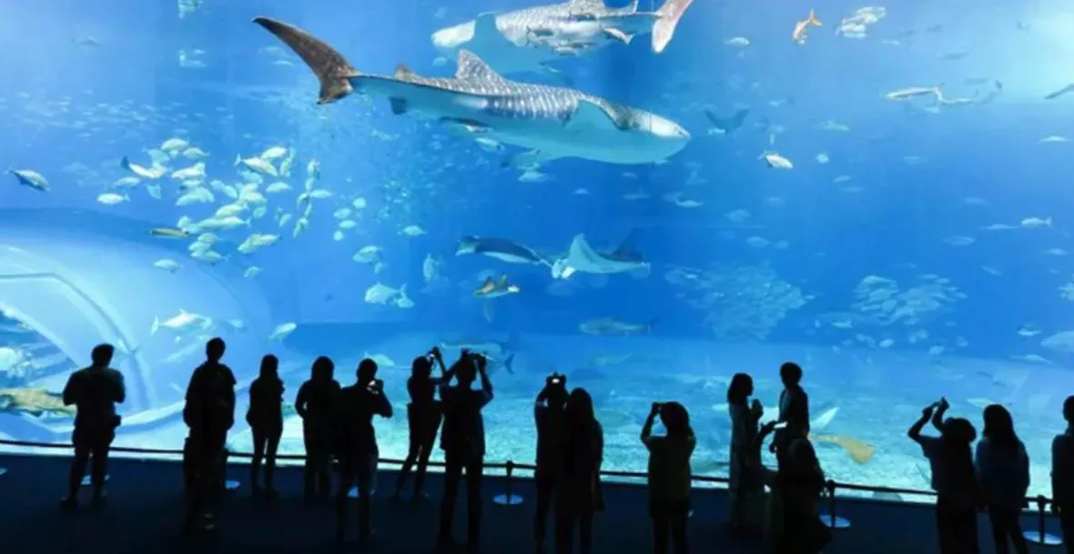 Children play ground in Hotel du Moulin à Vent - Gerland