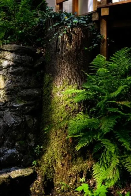 Natural landscape in Hotel Promyk Wellness & Spa