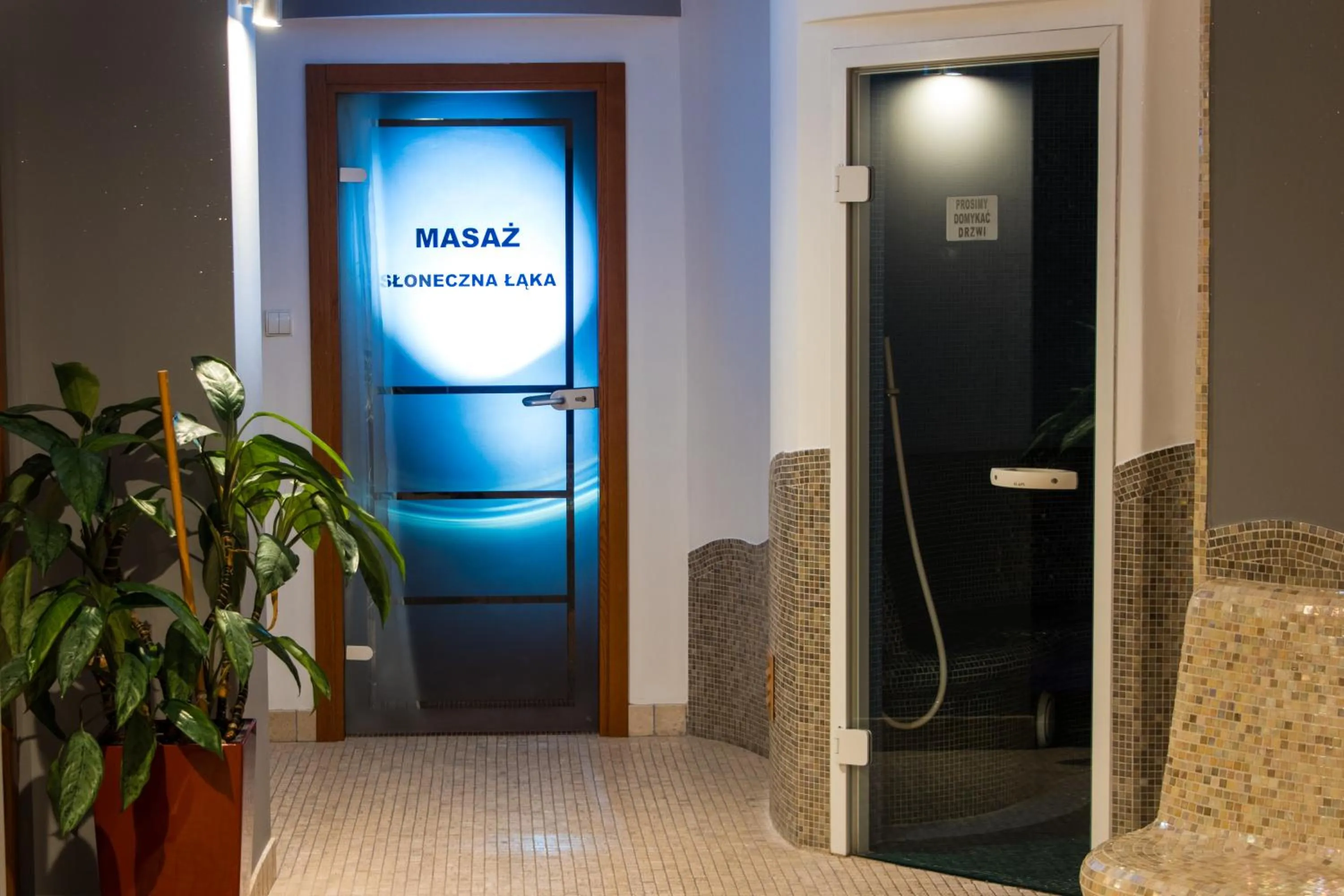 Shower in Hotel Promyk Wellness & Spa