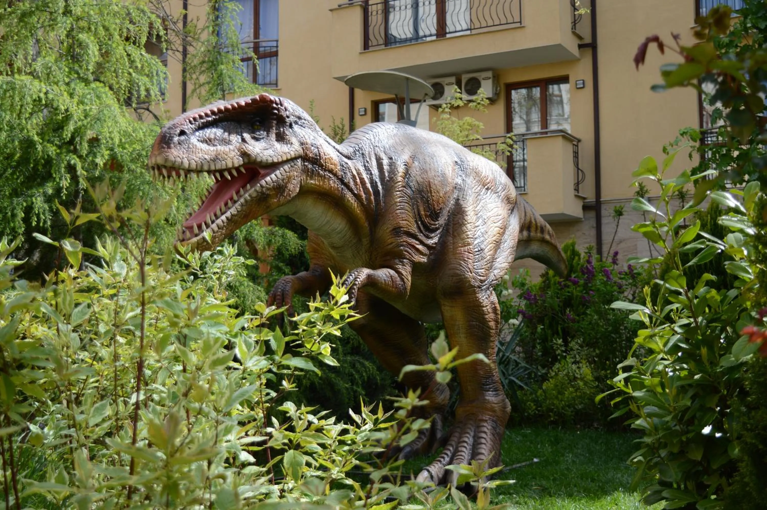 Garden in Harmony Suites Jungle - Family Friendly Complex