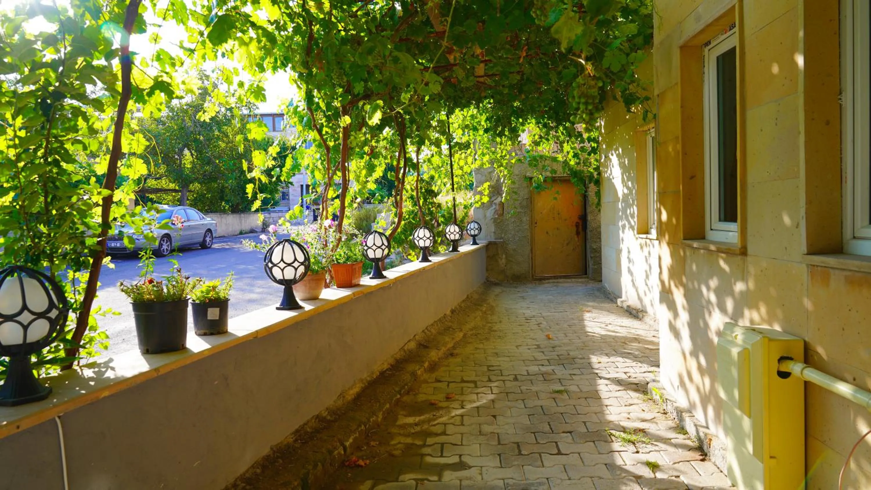 Day in Alpha Stone House