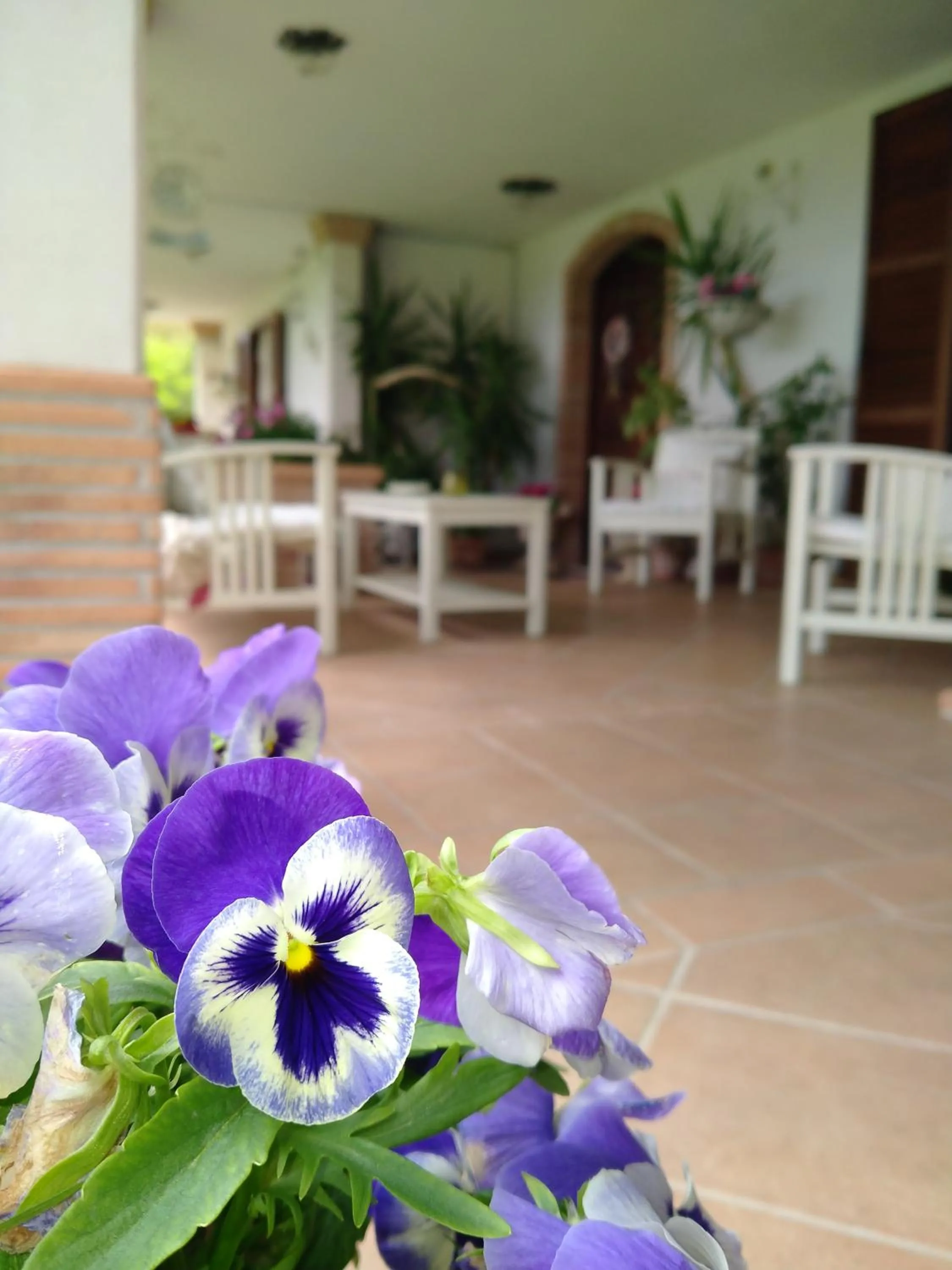 Patio in B&B Il Cantico