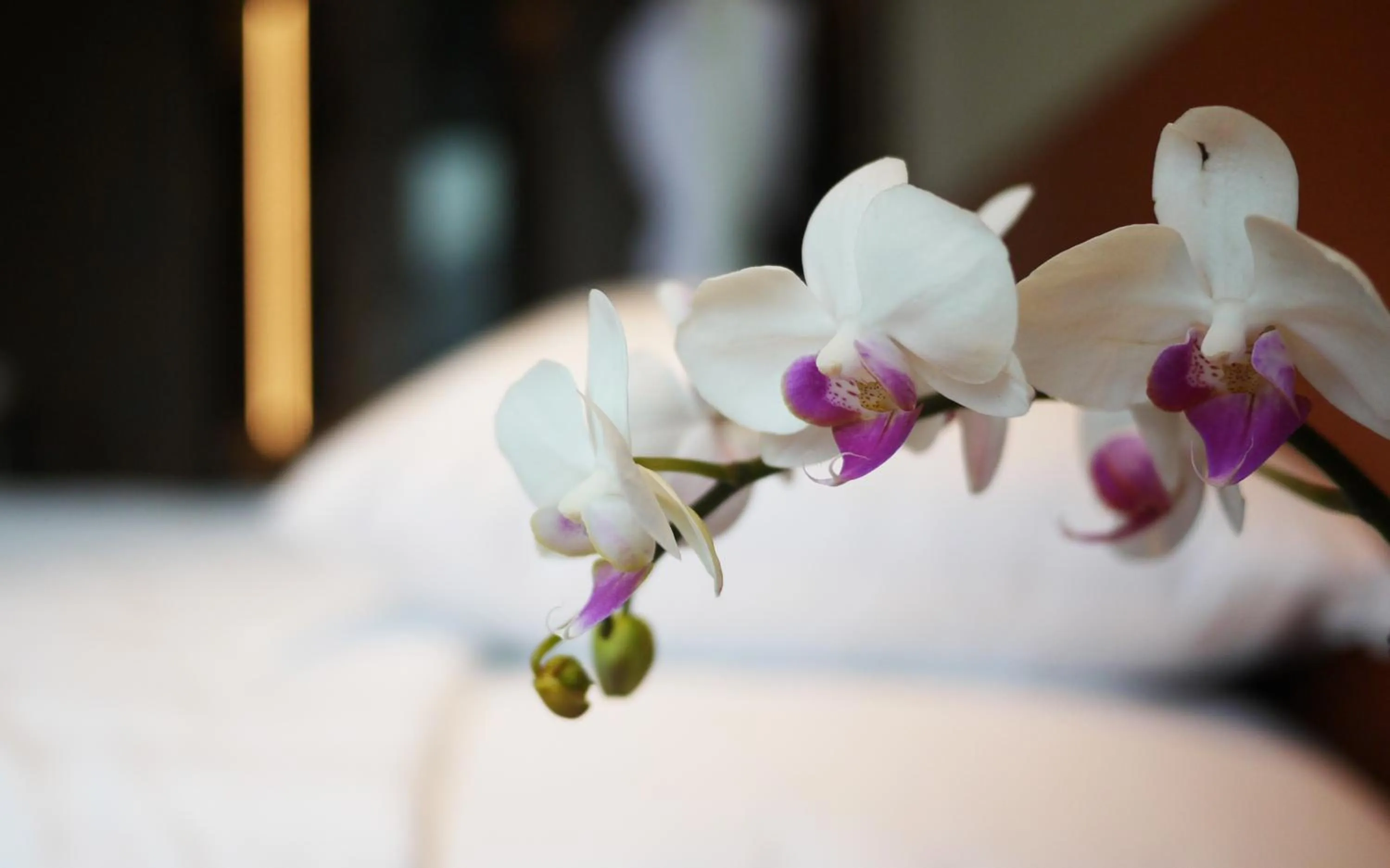 Bed in Dorsett Kai Tak