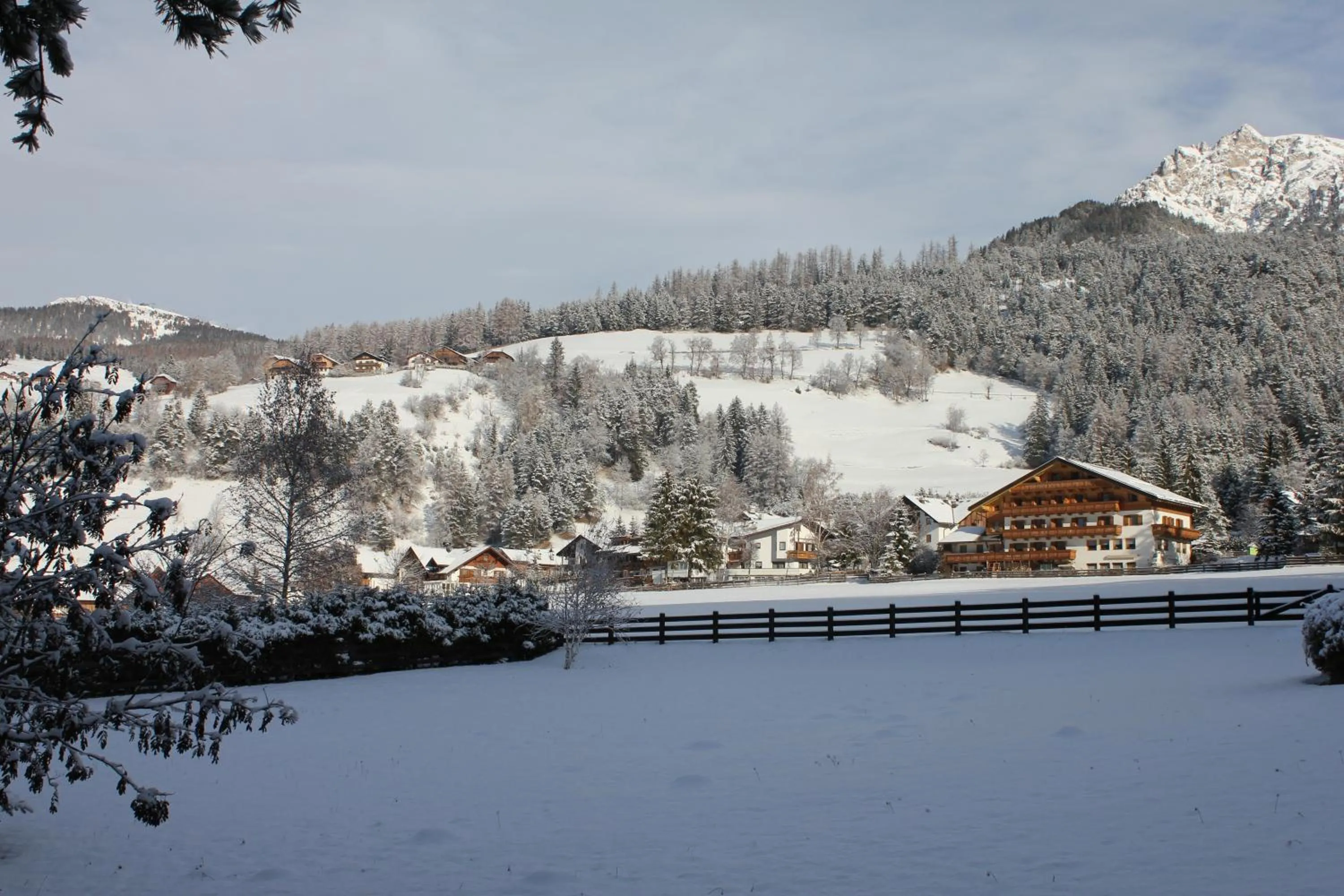 On site in Pension Arnica B&B