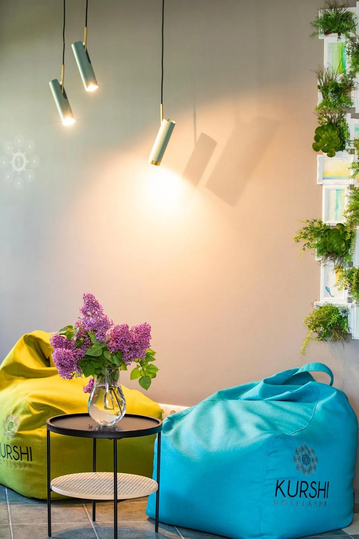 Area and facilities in Kurshi Hotel & Spa