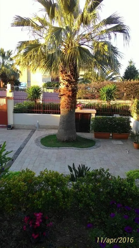 Garden in B&B Il Quadrifoglio Tropea