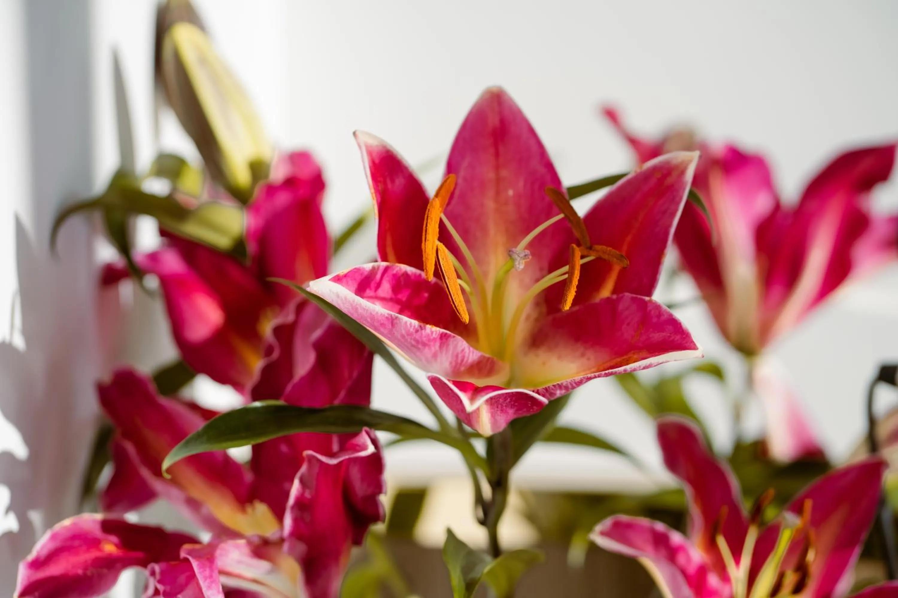 Bedroom in M9 Kirirom Hotel