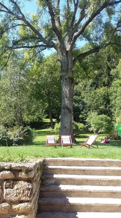 Garden in Chambres d'hôtes Villa de Vienne-en-Arthies