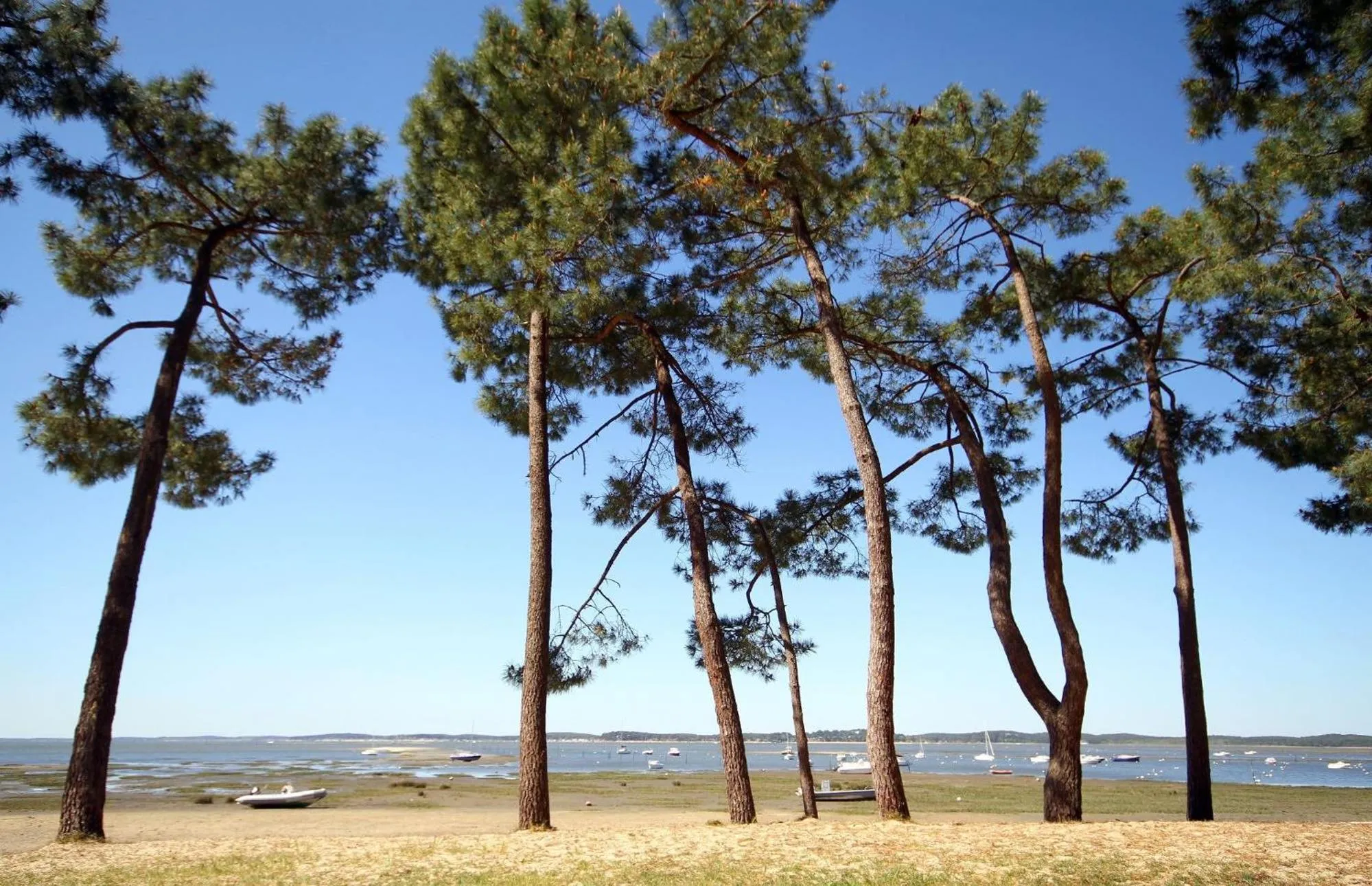 Natural landscape in Hôtel Le Boïate