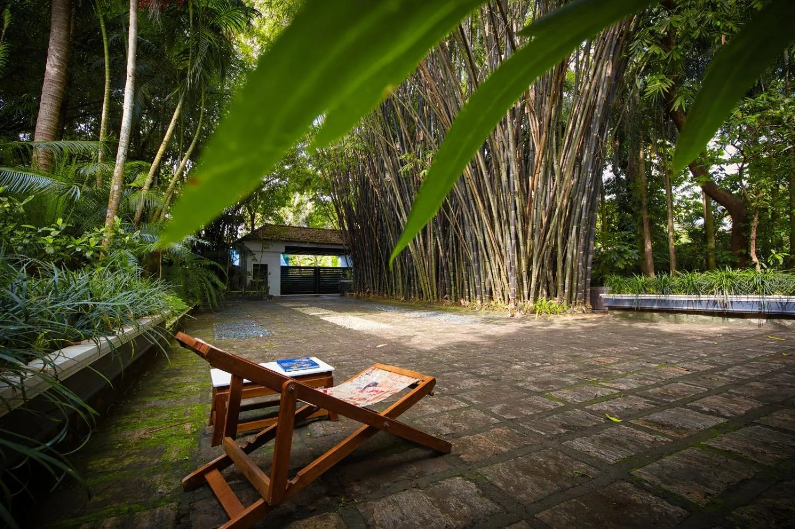 Garden in Softouch Ayurveda Village Kerala