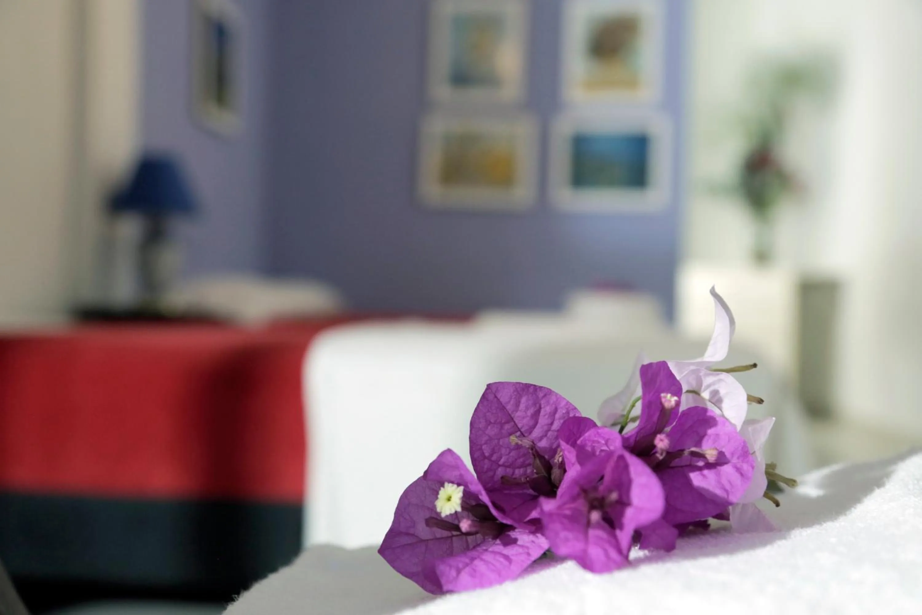 Decorative detail, Bed in Posada Las Bromelias