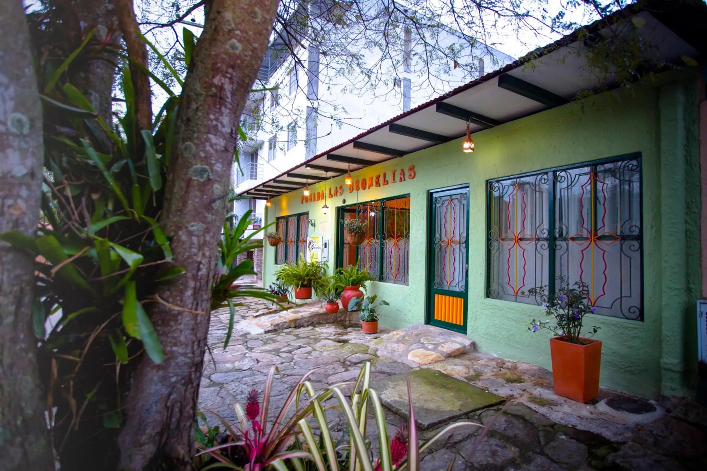 Property building in Posada Las Bromelias