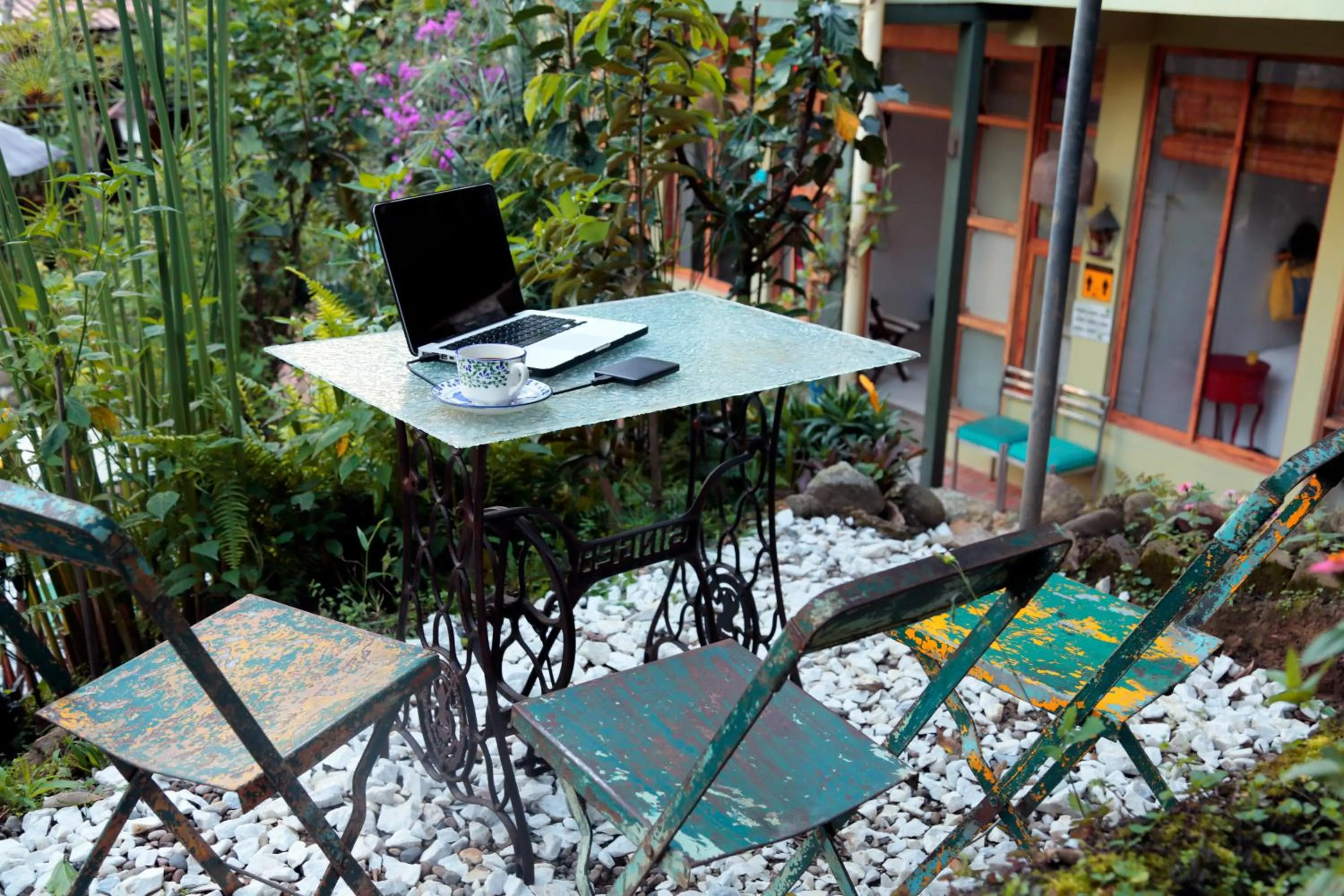 Garden view in Posada Las Bromelias