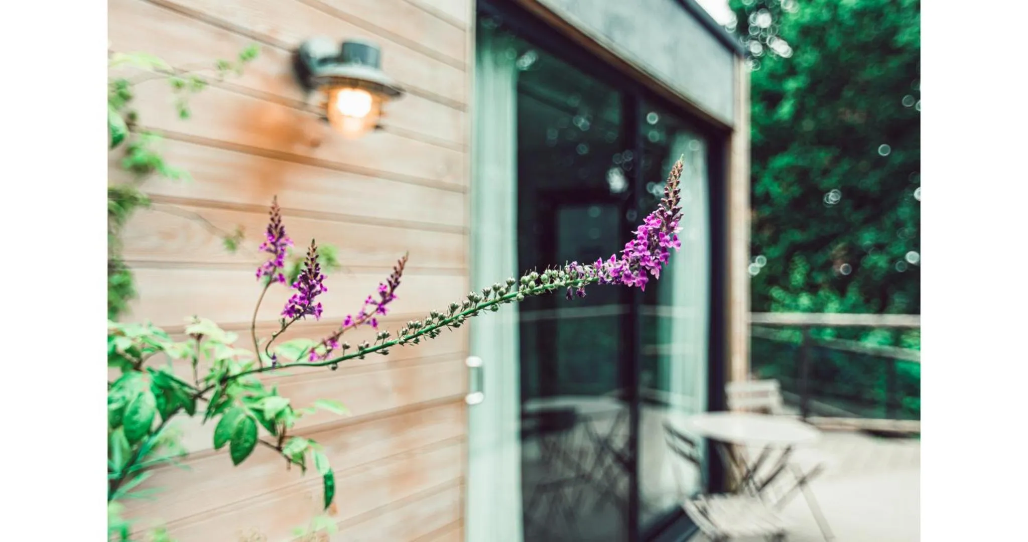 Balcony/Terrace in Clophill Eco Lodges