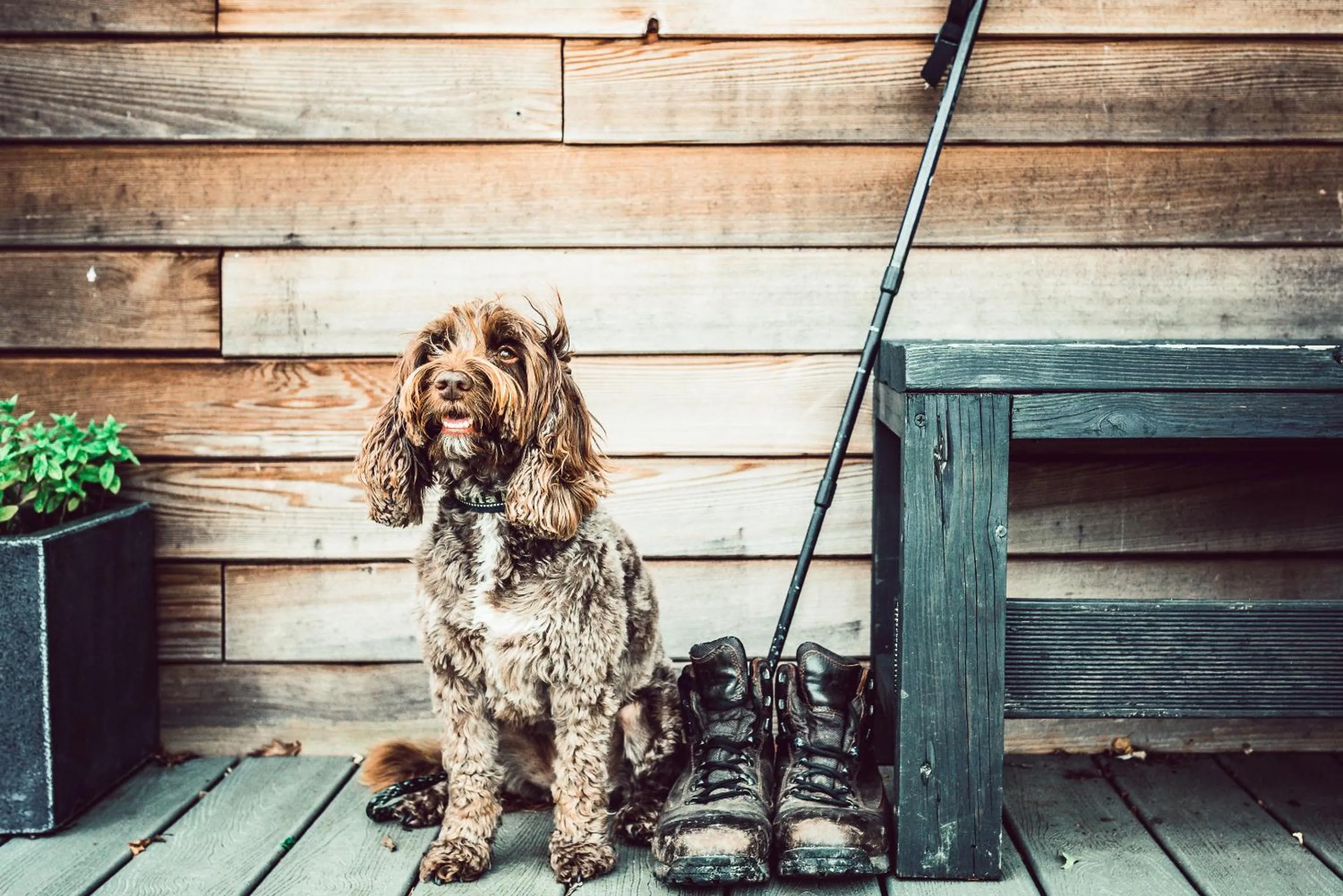 Other in Clophill Eco Lodges